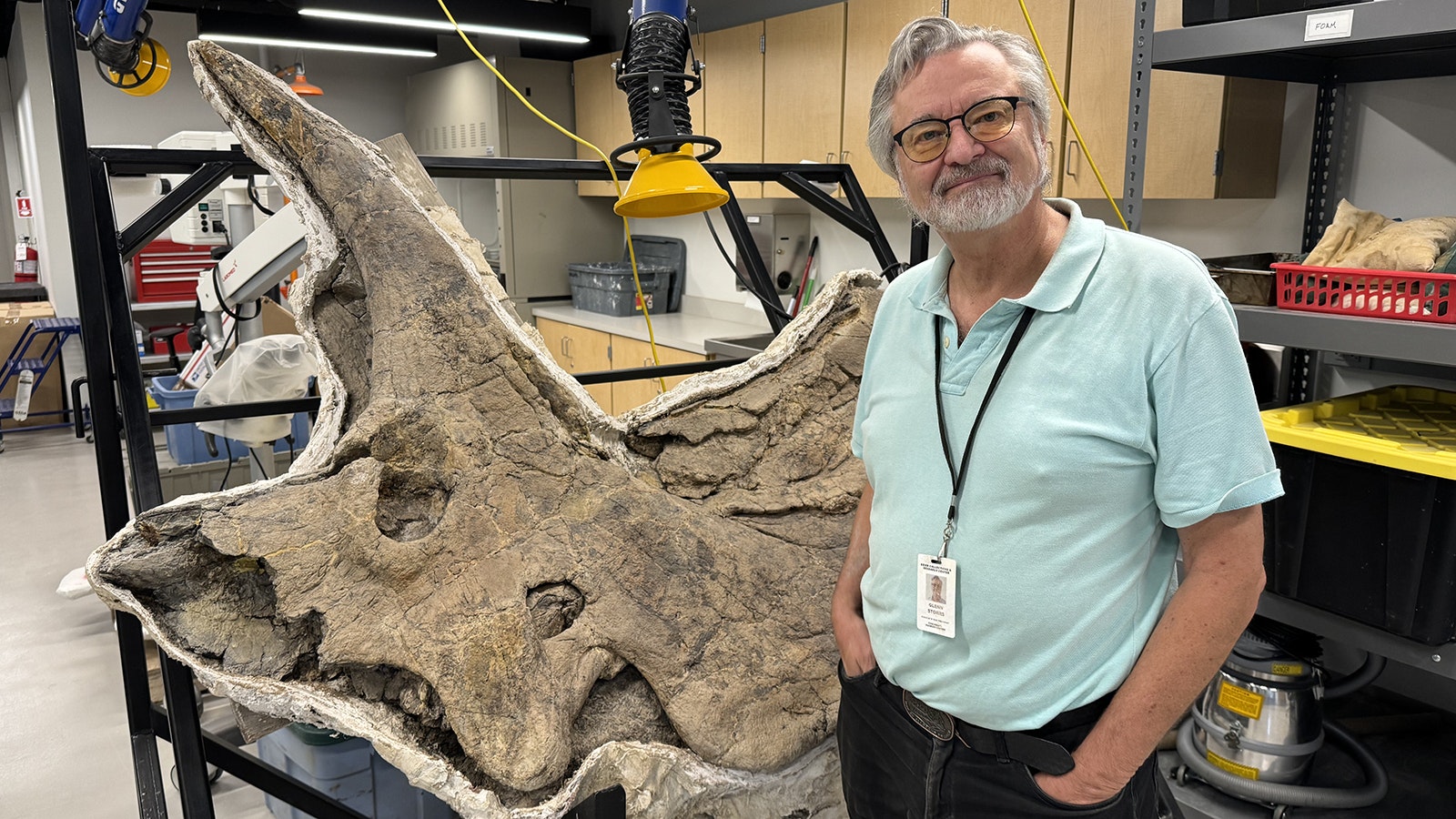 Glenn Storrs stands in front of a Triceratops skull in the fossil prep lab at the Cincinnati Museum Center. Fossils of unknown horned dinosaurs have been found by his students doing fieldwork in the Almond Formation in southwest Wyoming and could potentially belong to new species.