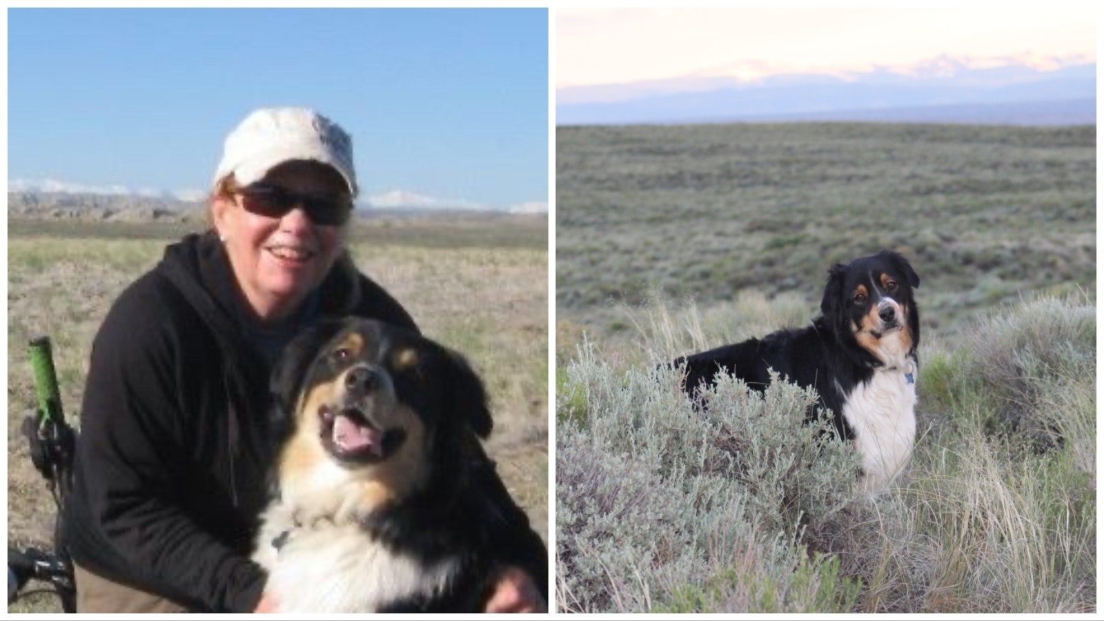 Amber Travsky’s Australian shepherd "Dobby” is her constant companion on outdoor adventures all over Wyoming.