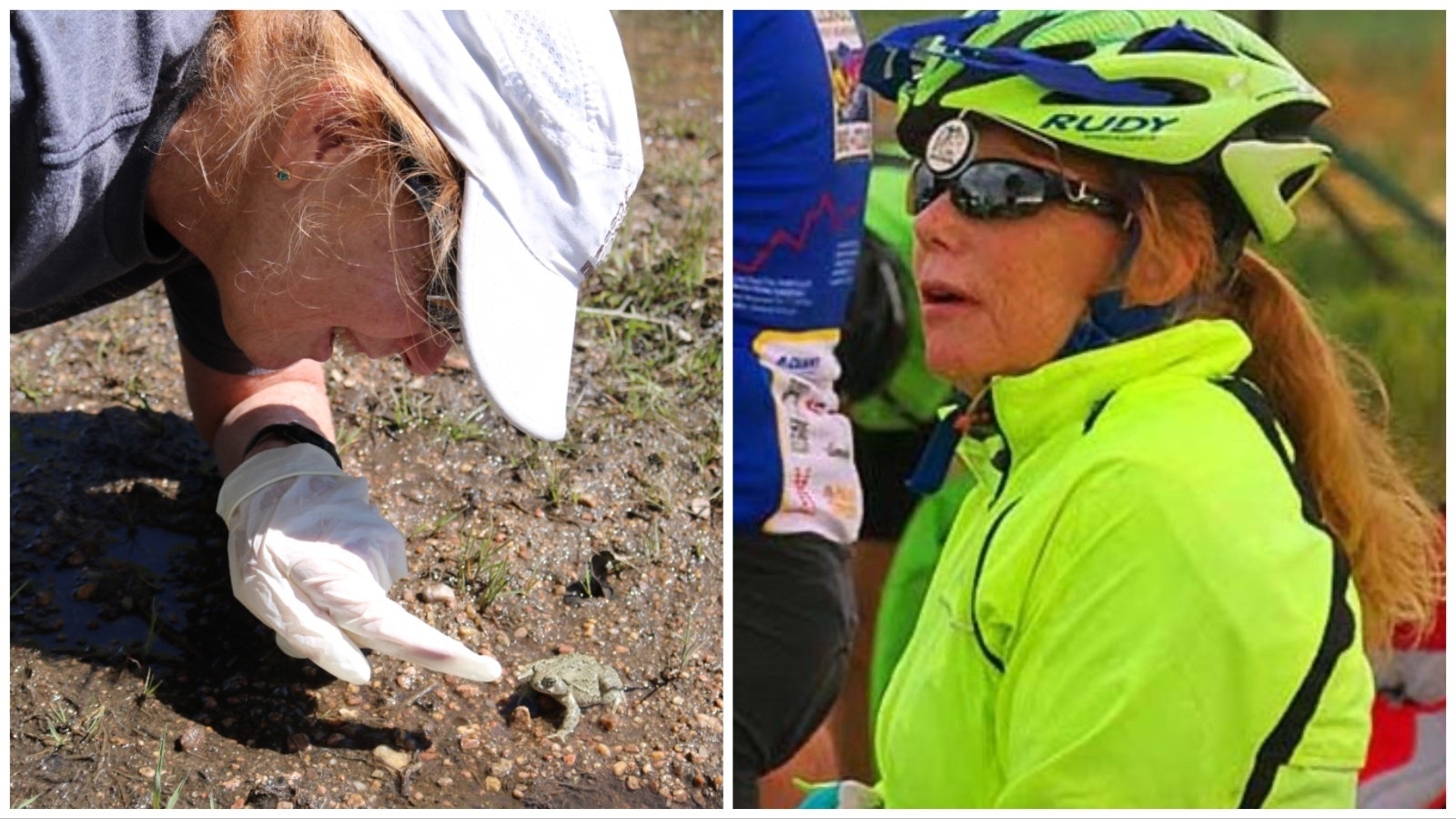 At left, wildlife biologist Amber Travsky checks on a Wyoming toad during a recent release of the rare toads back into the wild. At right, she takes a break at a rest stop during the Tour de Wyoming this past summer. She helped found the Tour de Wyoming decades ago.