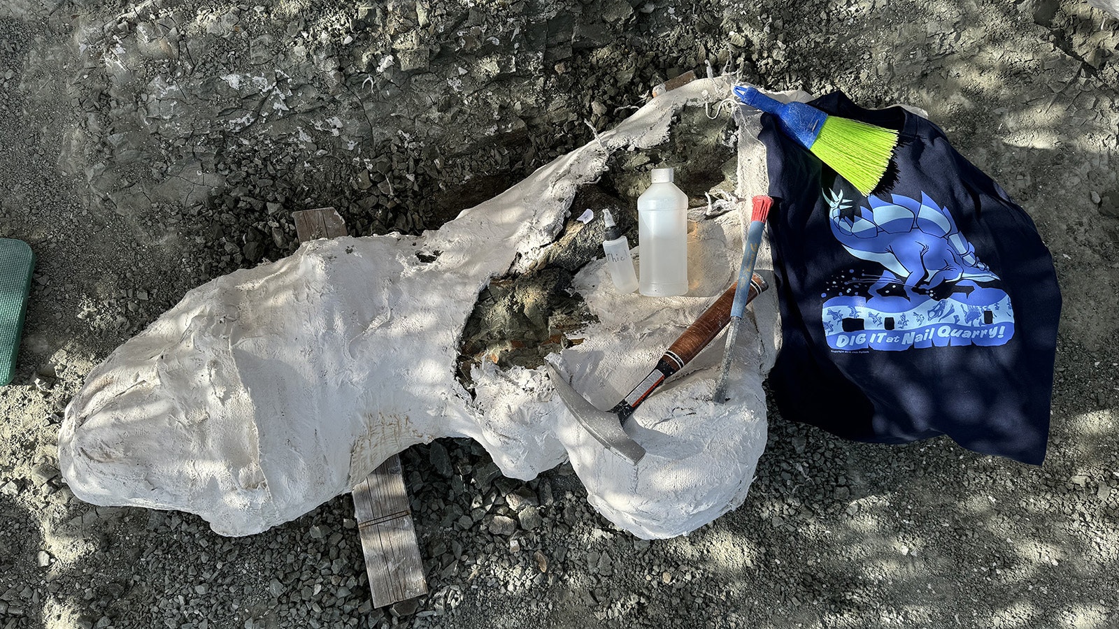 The underside of a freshly flipped jacket. The black rock sticking out of the bottom is a freshly broken fossil, the bane of all dinosaur diggers after several hours of intense work.