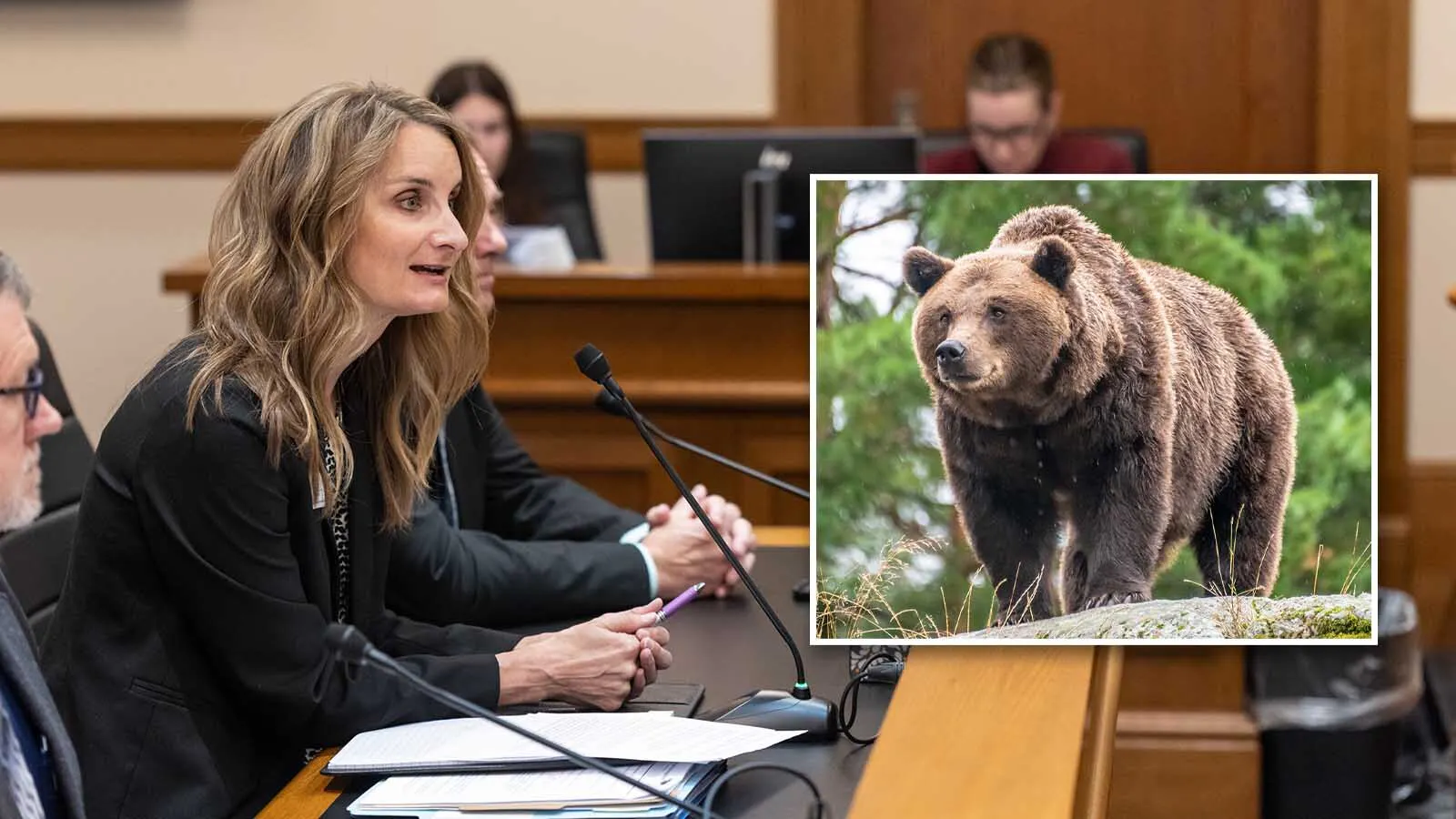Wyoming is killing more "conflict" grizzlies than would be killed by hunters if the bears were delisted, Wyoming Game and Fish Director Angi Bruce said Wednesday. One legislator said that if the goal is to kill fewer grizzlies, hunting might be the better option.