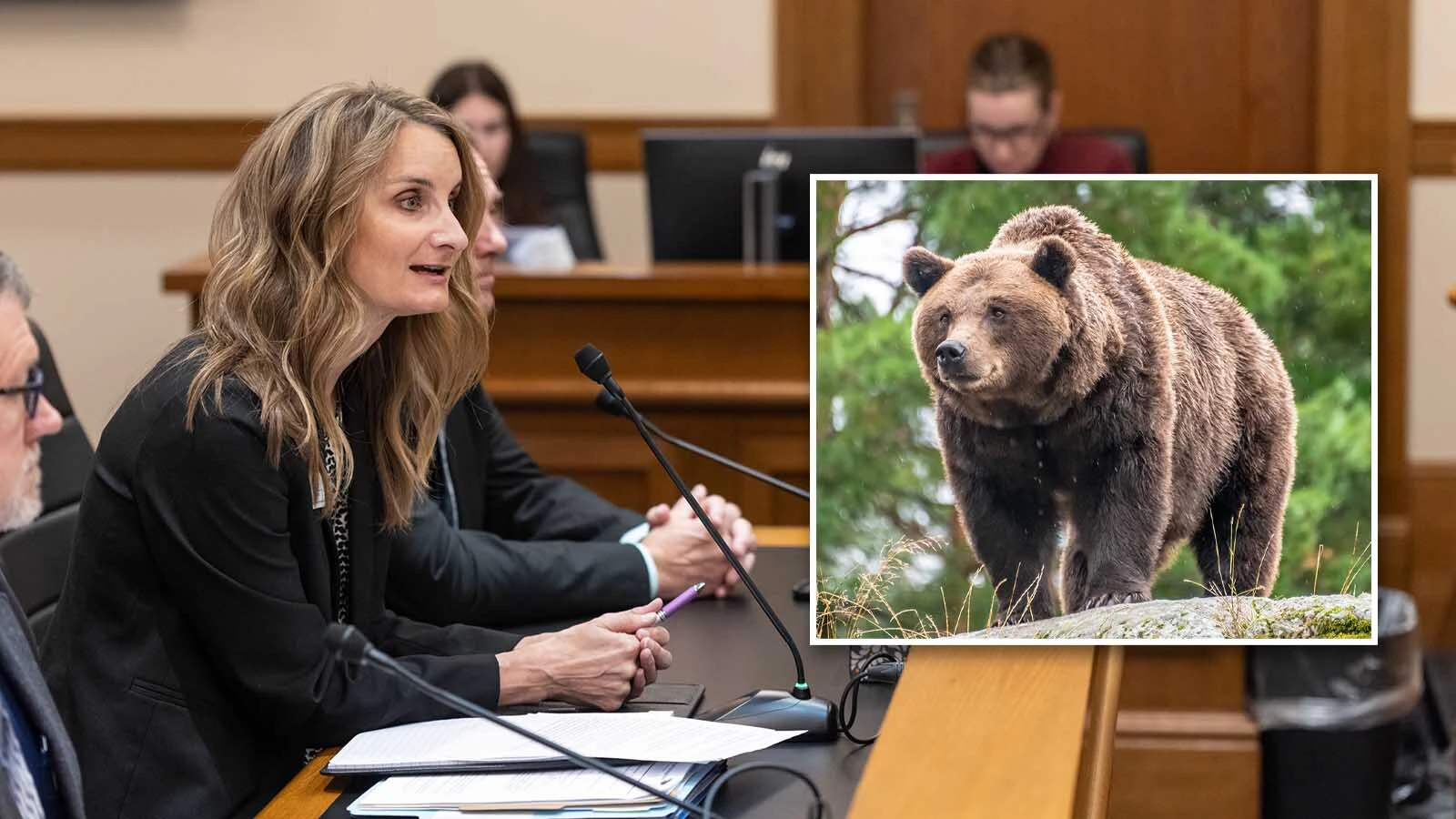 Wyoming is killing more "conflict" grizzlies than would be killed by hunters if the bears were delisted, Wyoming Game and Fish Director Angi Bruce said Wednesday. One legislator said that if the goal is to kill fewer grizzlies, hunting might be the better option.