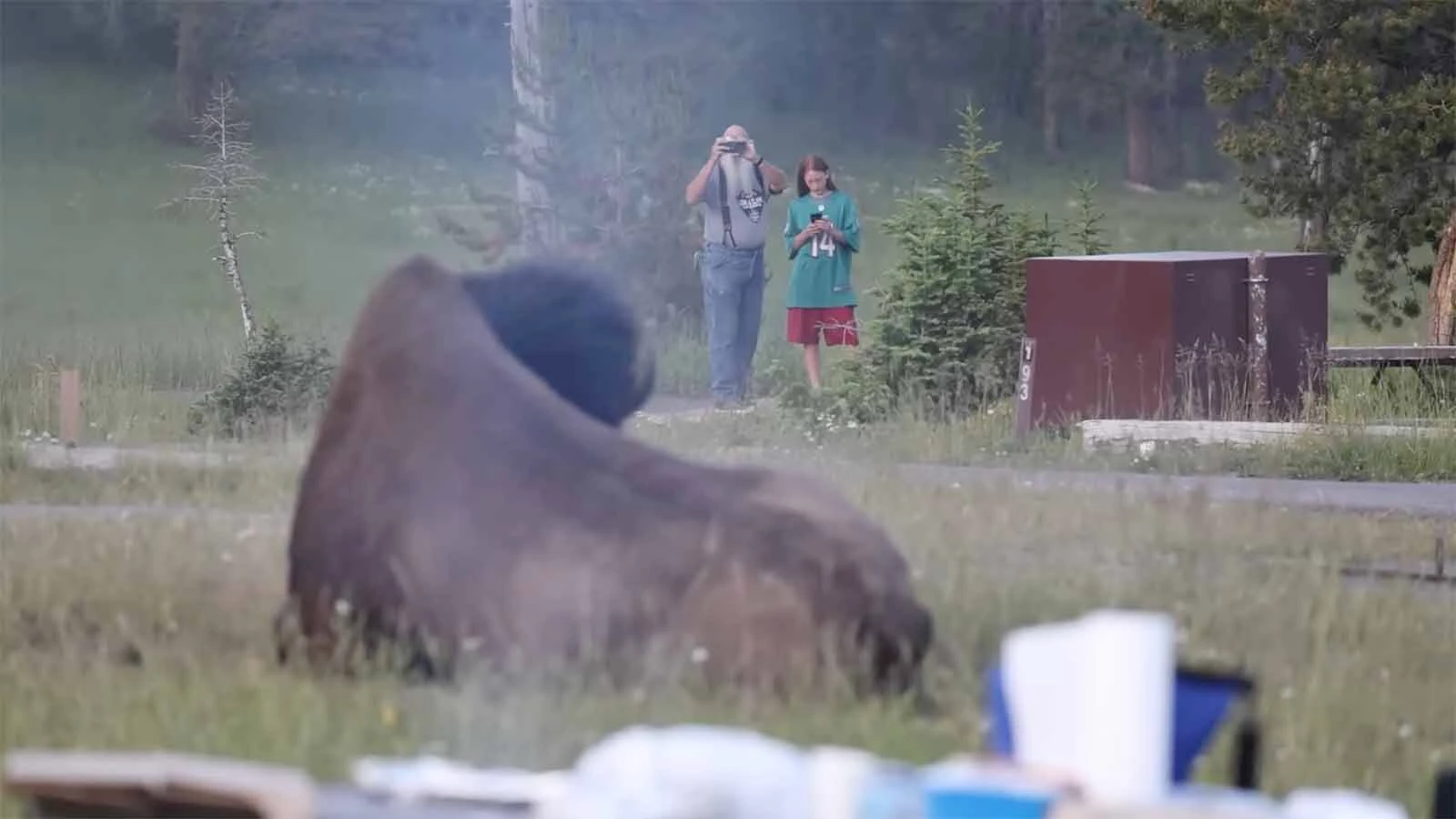 The bison that tossed a 65-year-old Washington state man 8 feet in the air and broke his femur in four places won’t be killed. The man "couldn’t have done much to prevent that charge,” said a bison expert. “I don’t know if I would have done any better.”