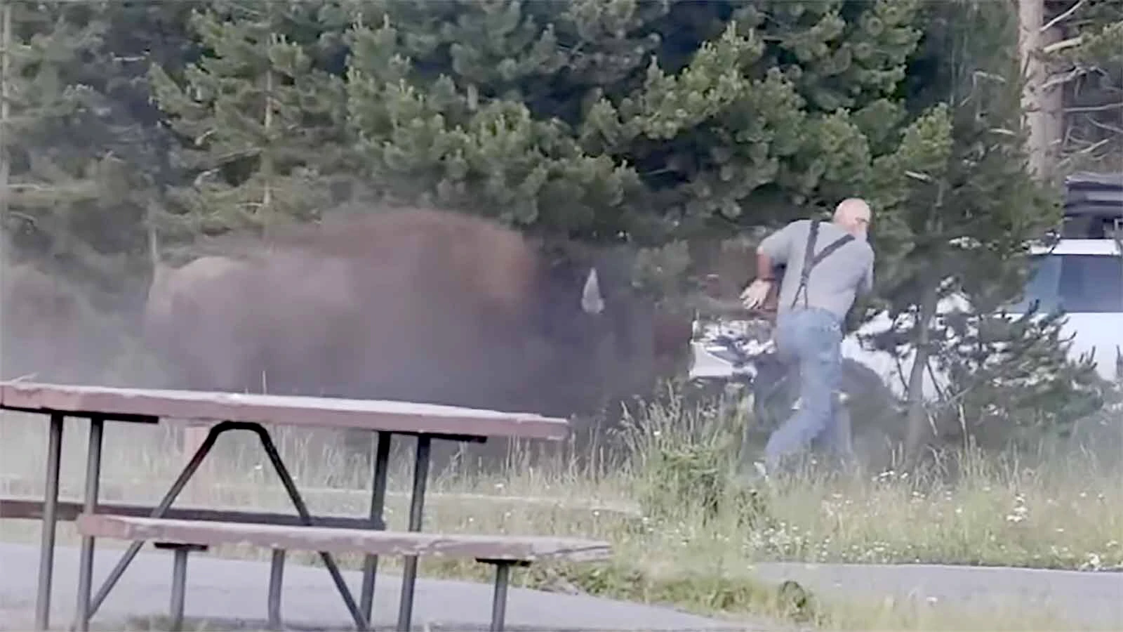 The bison that tossed a 65-year-old Washington state man 8 feet in the air and broke his femur in four places won’t be killed. The man "couldn’t have done much to prevent that charge,” said a bison expert. “I don’t know if I would have done any better.”