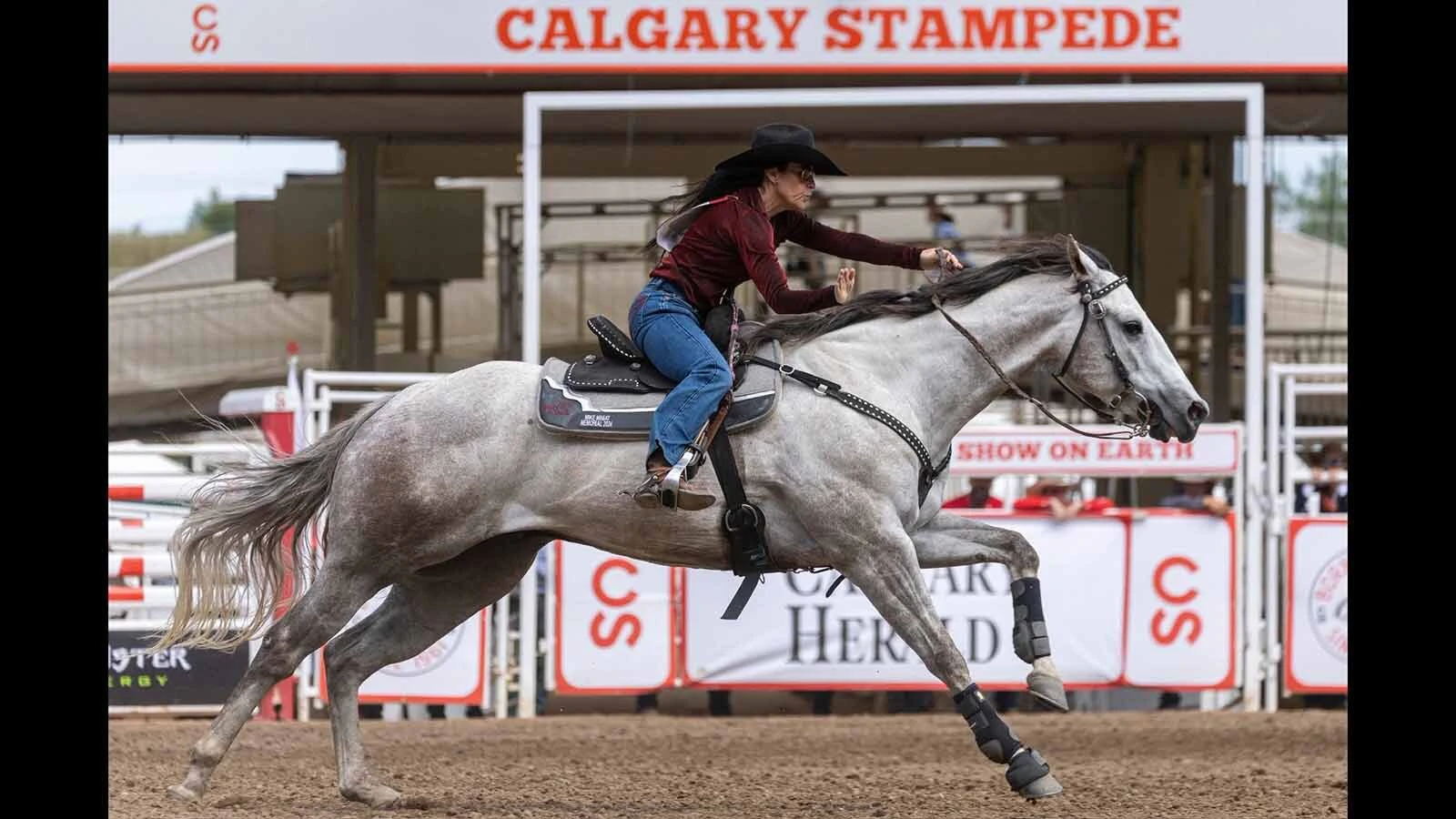 After a devastating head injury nearly ended her life, barrel racer Anita Ellis is on an inspiring comeback trail that runs through Cheyenne Frontier Days. “I don’t really get intense or worry about stuff now. It’s in God’s hands,” she said.