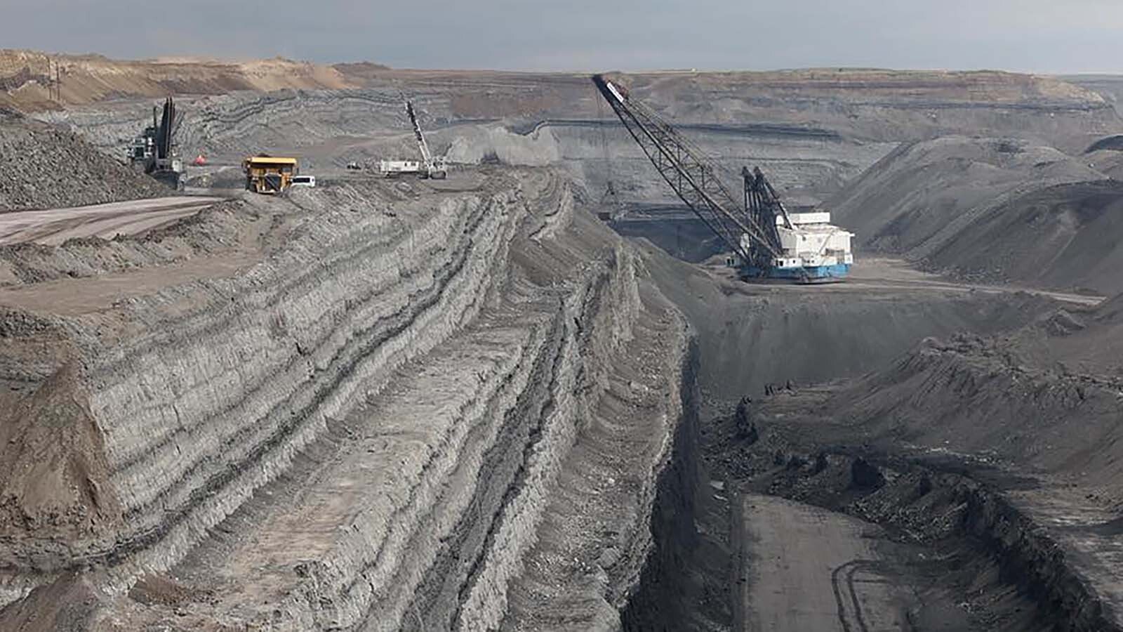 The Bureau of Land Management's first major Powder River Basin coal lease sale in a decade will give access of up to 365 million tons of coal in northeast Wyoming. Industry officials say it's past time, while environmental advocates say they’re worried.