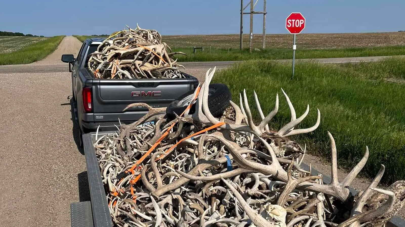 A side gig for a pair of South Dakota men has exploded into a booming business selling 60 tons of elk, deer and moose antlers a year. Some prized specimens can sell for thousands of dollars each.