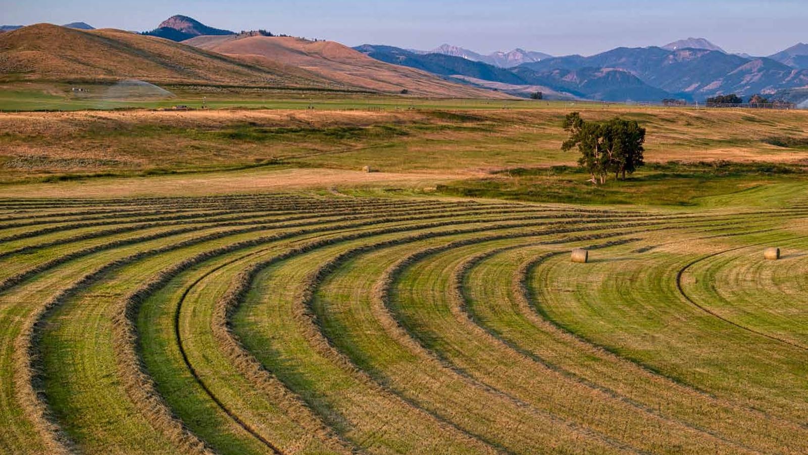 There's a legacy of more than 125 years of agriculture on the Antlers Ranch near Meeteetse, Wyoming.