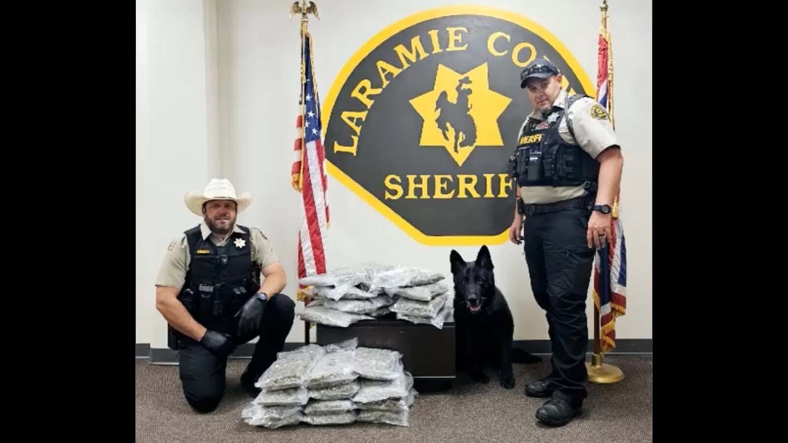 Arie, a 6-year-old German shepherd K-9 deputy, has cancer and only about two months left to live. He was retired Wednesday, but not before sniffing out a 40-pound stash of marijuana on his last call Tuesday night.