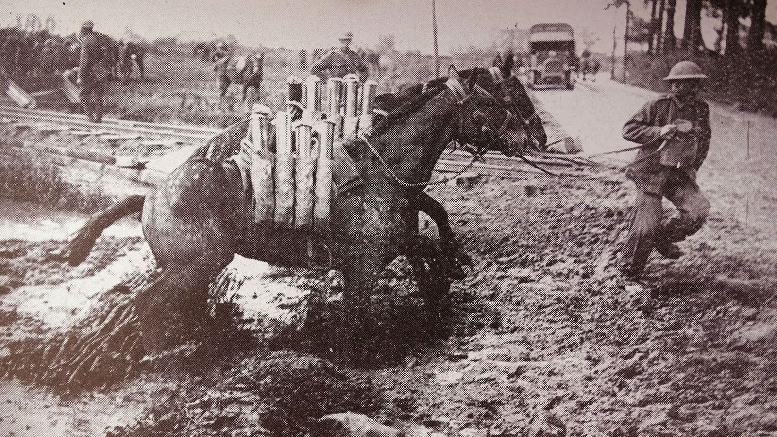 Shell-carrying pack mules had to be led through mud and all kinds of terrain during World War I.