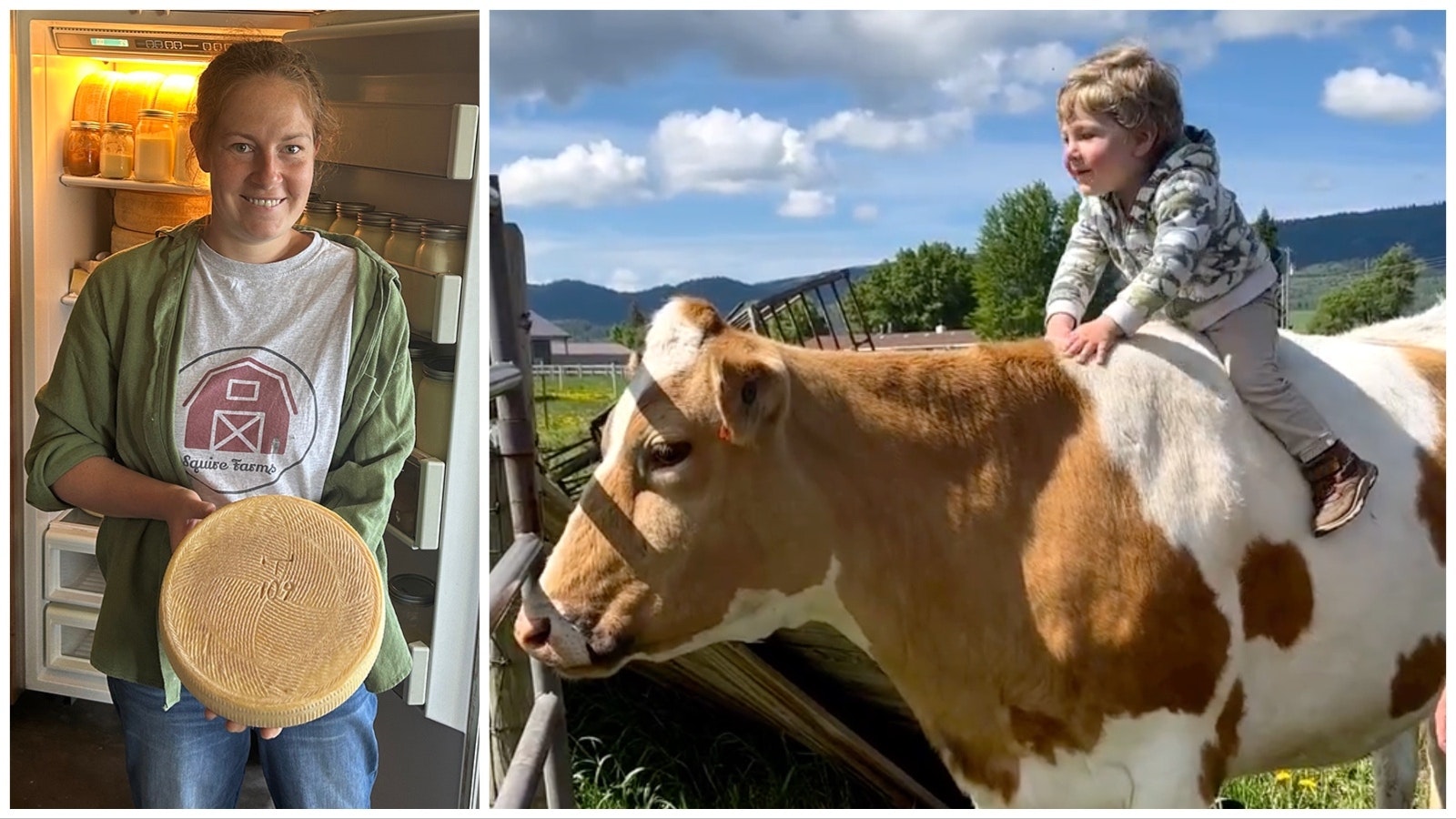 Artisan cheesemaker Suzanne Mate Lecuyer shows a wheel of hard cheese while Patty gives a toddler a ride at Squire Farms.
