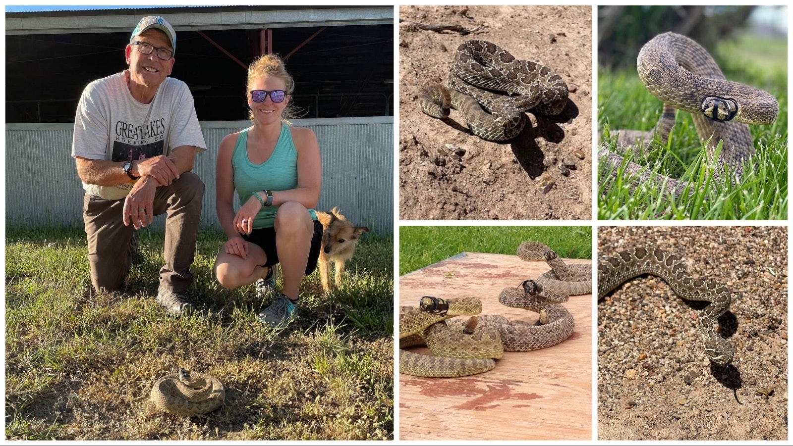 Jerry Colson, his daughter Ashlea Roberts, and a dog named Nitro with one of the rattlesnakes they catch in Rawlins for Roberts' rattlesnake avoidance clinic, an obedience class for dogs.