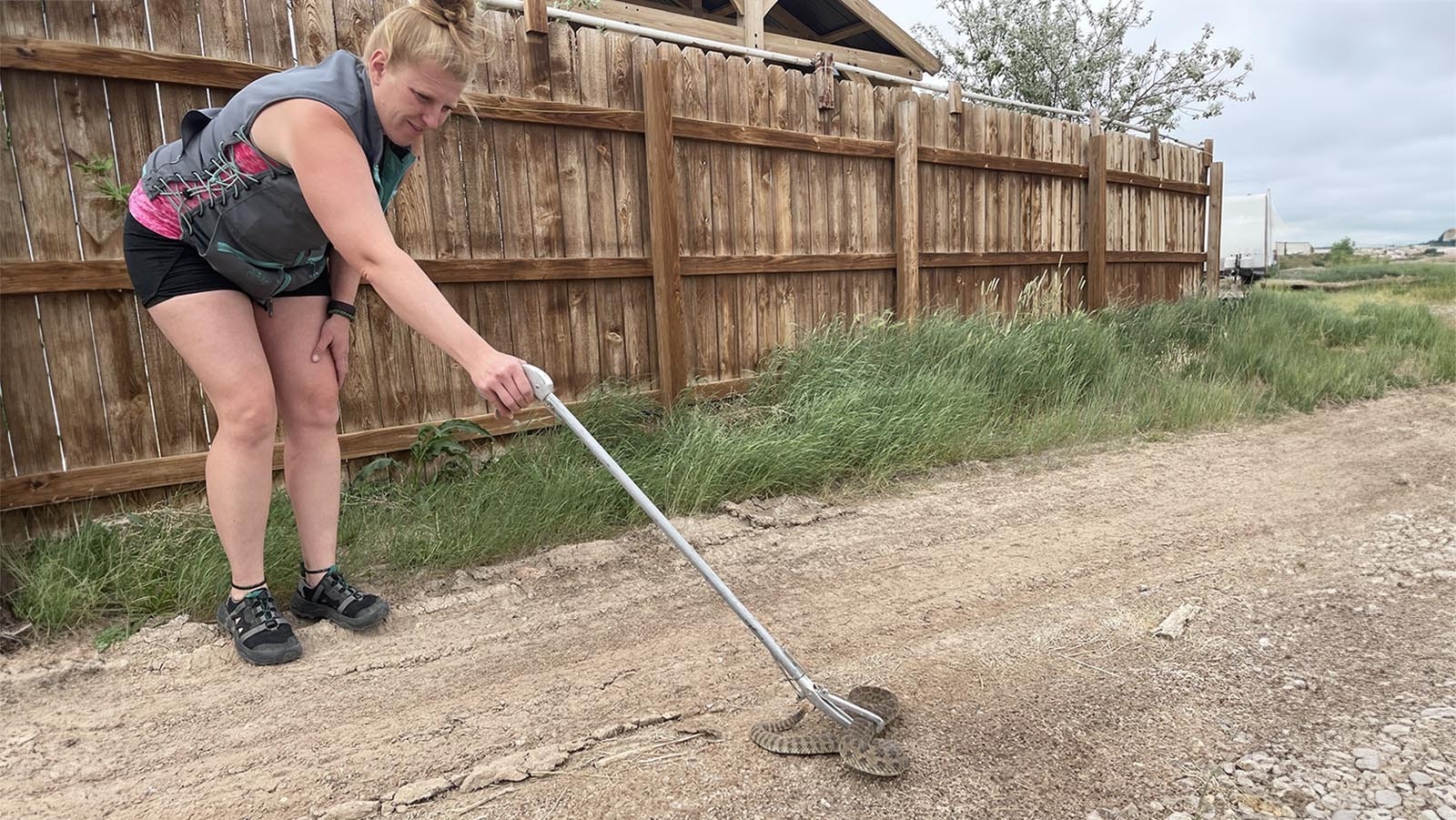 Ashlea Roberts uses a tool to keep her distance while wrangling a rattlesnake.
