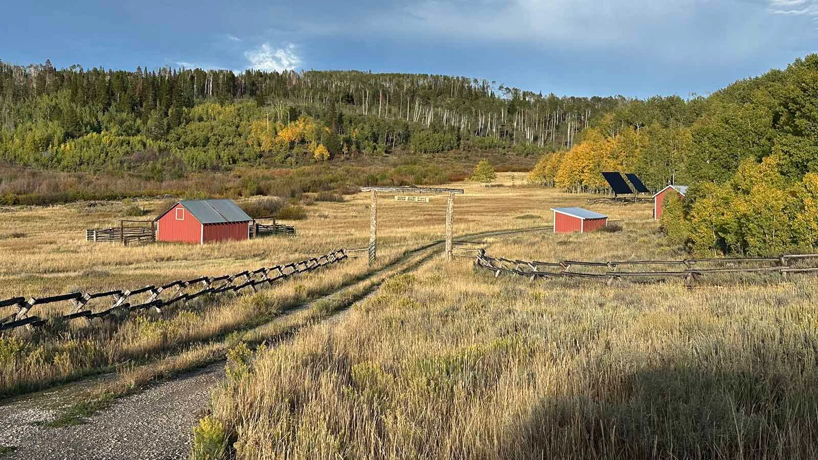 After years in decline and die-off, the once-stunning Aspen Alley corridor in southern Wyoming’s Sierra Madre Mountains is making a comeback. Withing five years, “We'll have aspen so thick it'll be hard to walk through there,” says area rancher Dennis Faerber.