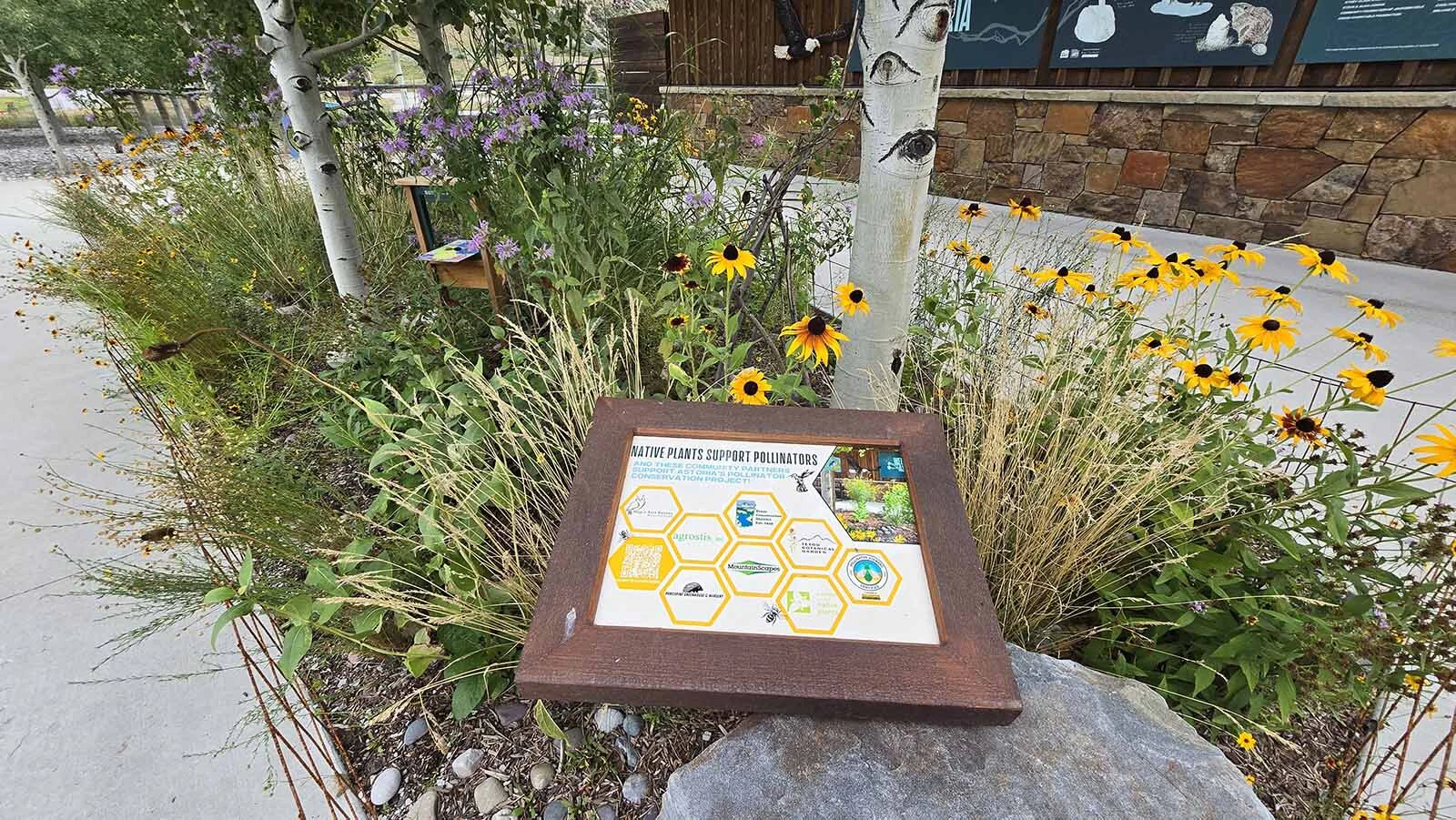 A pollinator garden is among educational displays that can already be viewed at Astoria Hot Springs Park. More such displays are in the works.
