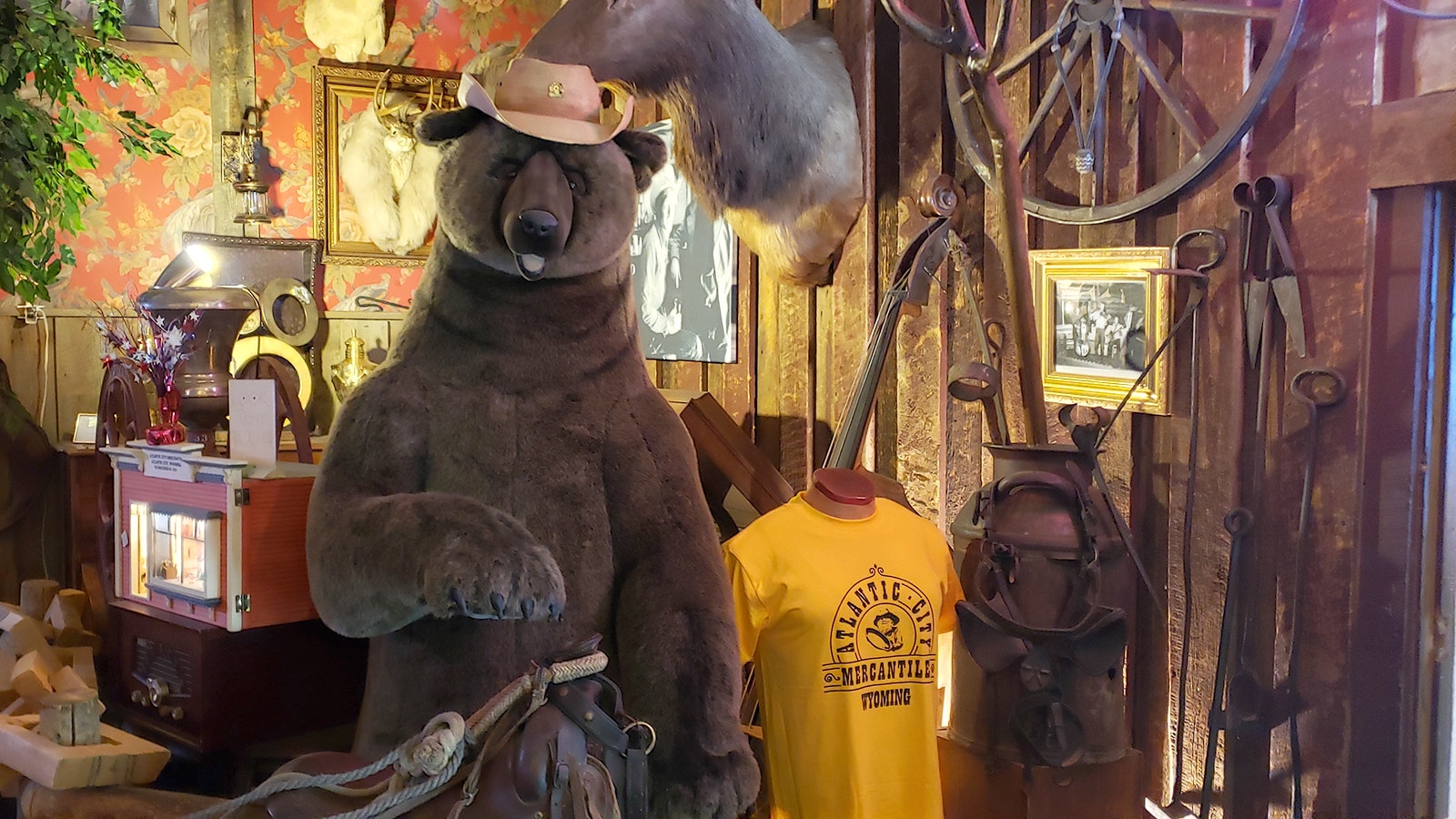 Smoky Bear hangs out at the Atlantic City Mercantile between public service messages.