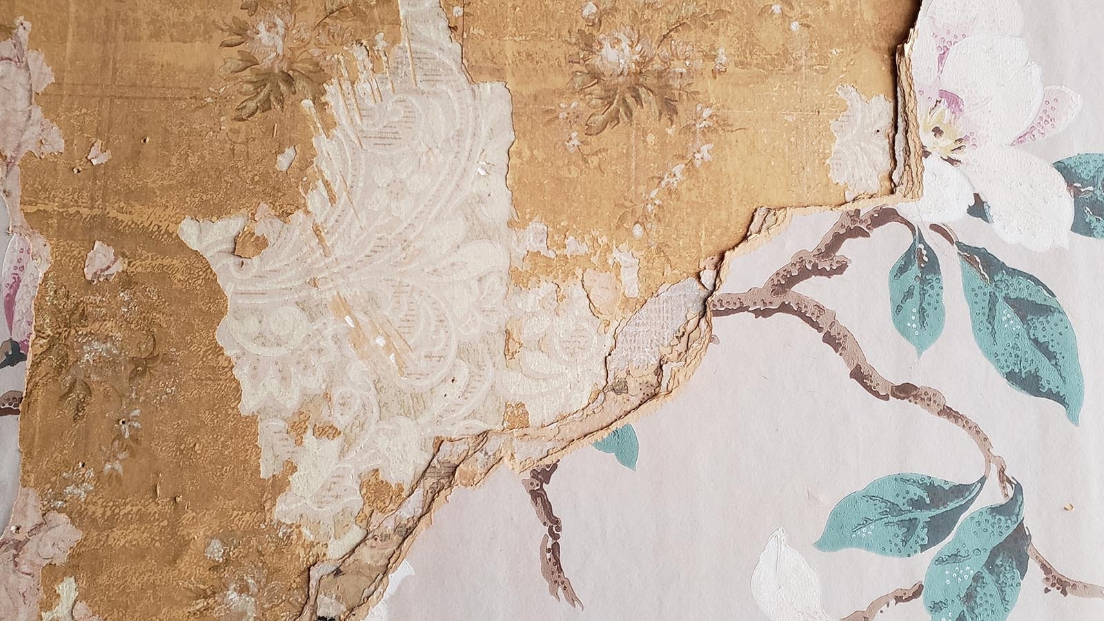The Atlas Theatre's upper floors have at least nine layers of wallpaper.