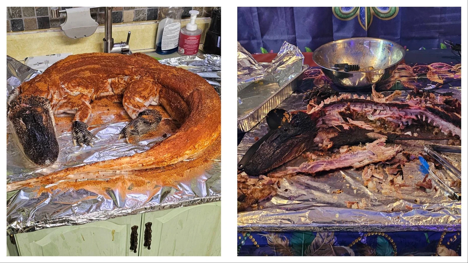 Audrey Bay lobbied the Lovell Town Council to bring back a drink-until-sunrise tradition during the Wyoming town's biggest summer celebration. She got two extra hours — and a 24-pound alligator.