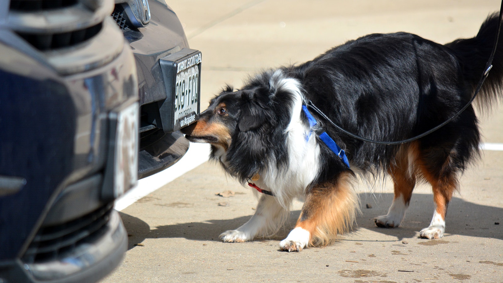 Augie NW1 Trial 032014 Copy