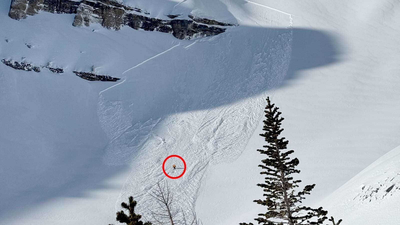 The Bridger-Teton Avalanche Center has logged reports of 32 avalanches in the Tetons since Dec. 19. In those, two skiers have survived being caught, including one Sunday in No Name Bowl who avoided getting buried by wearing an airbag pack, circled.