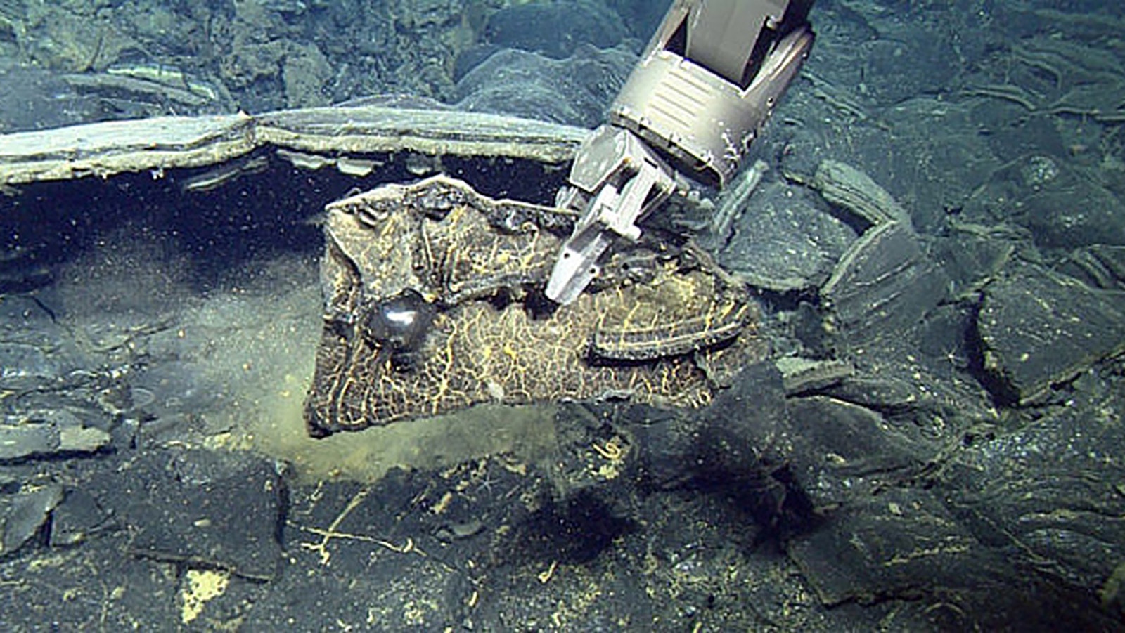 Collecting a fragment of lava from a 2015 eruption of Axial Seamount with a robotic arm.