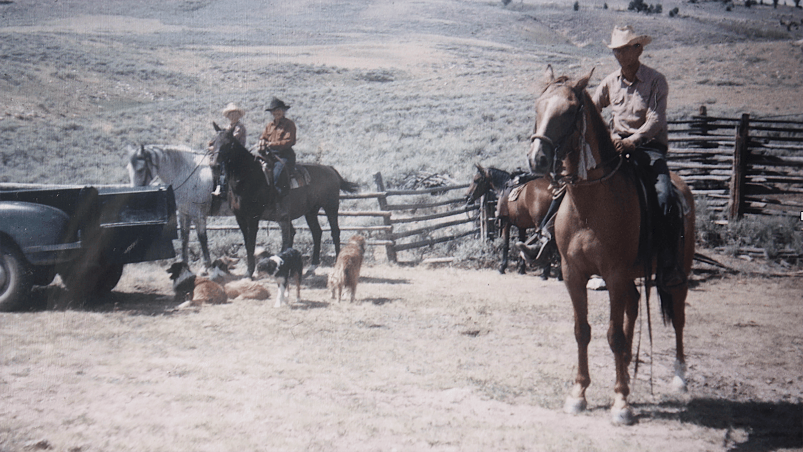 Horses are an extension of ranch hands at the B.B. Ranch.