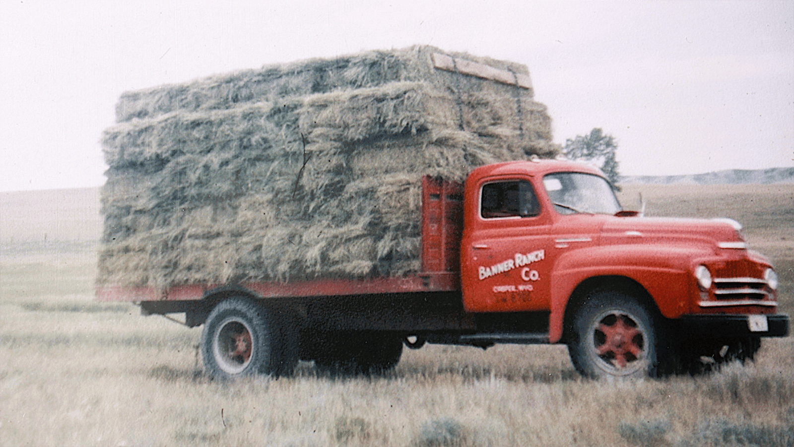 A Banner Ranch truck loaded with hay sits on a ranch field. (