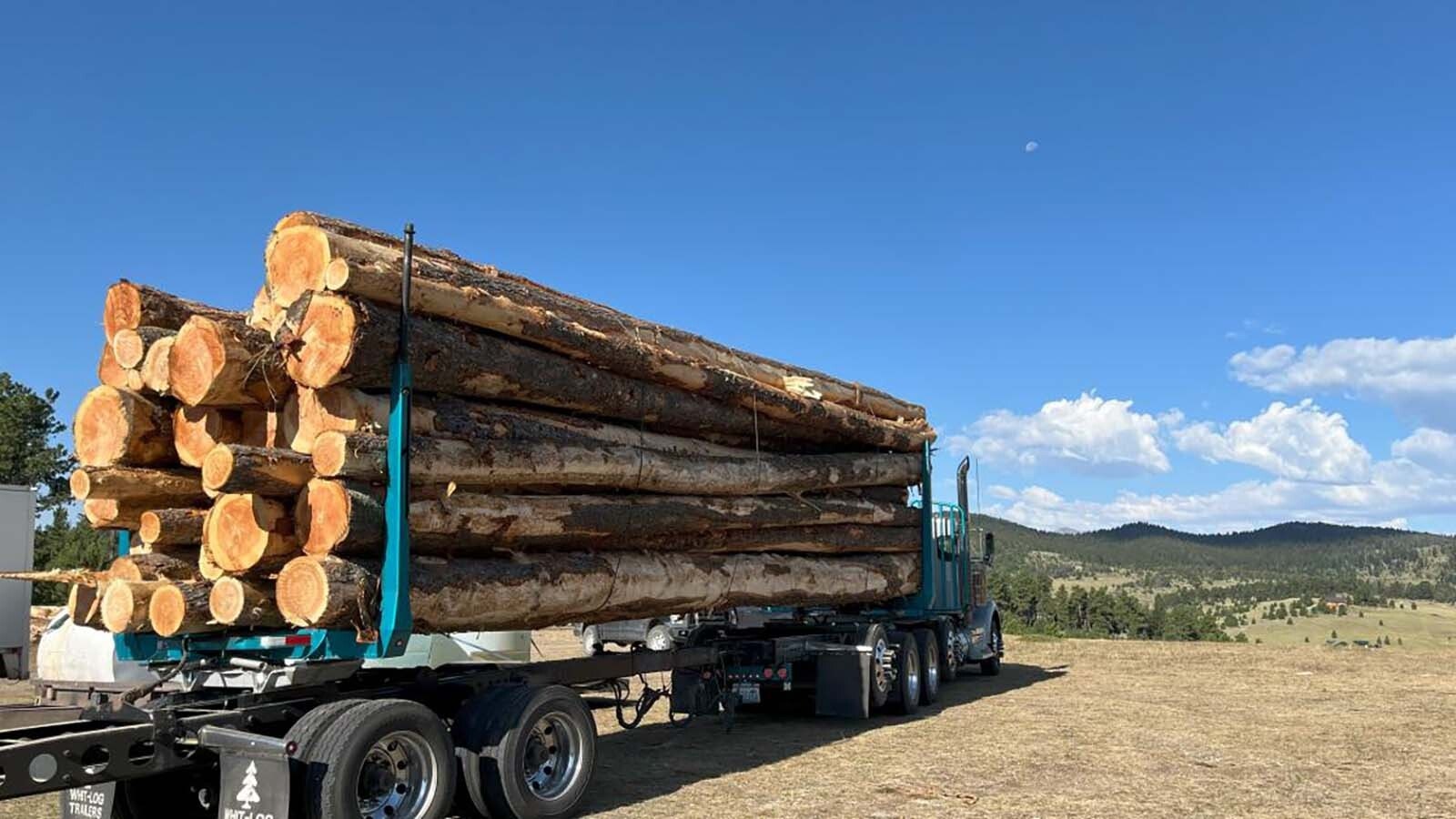 Recent steps by the Trump administration and Wyoming are a lifeline for Wyoming’s shrinking timber industry. But they may be too little, too late for what remains of the state’s family-owned businesses.