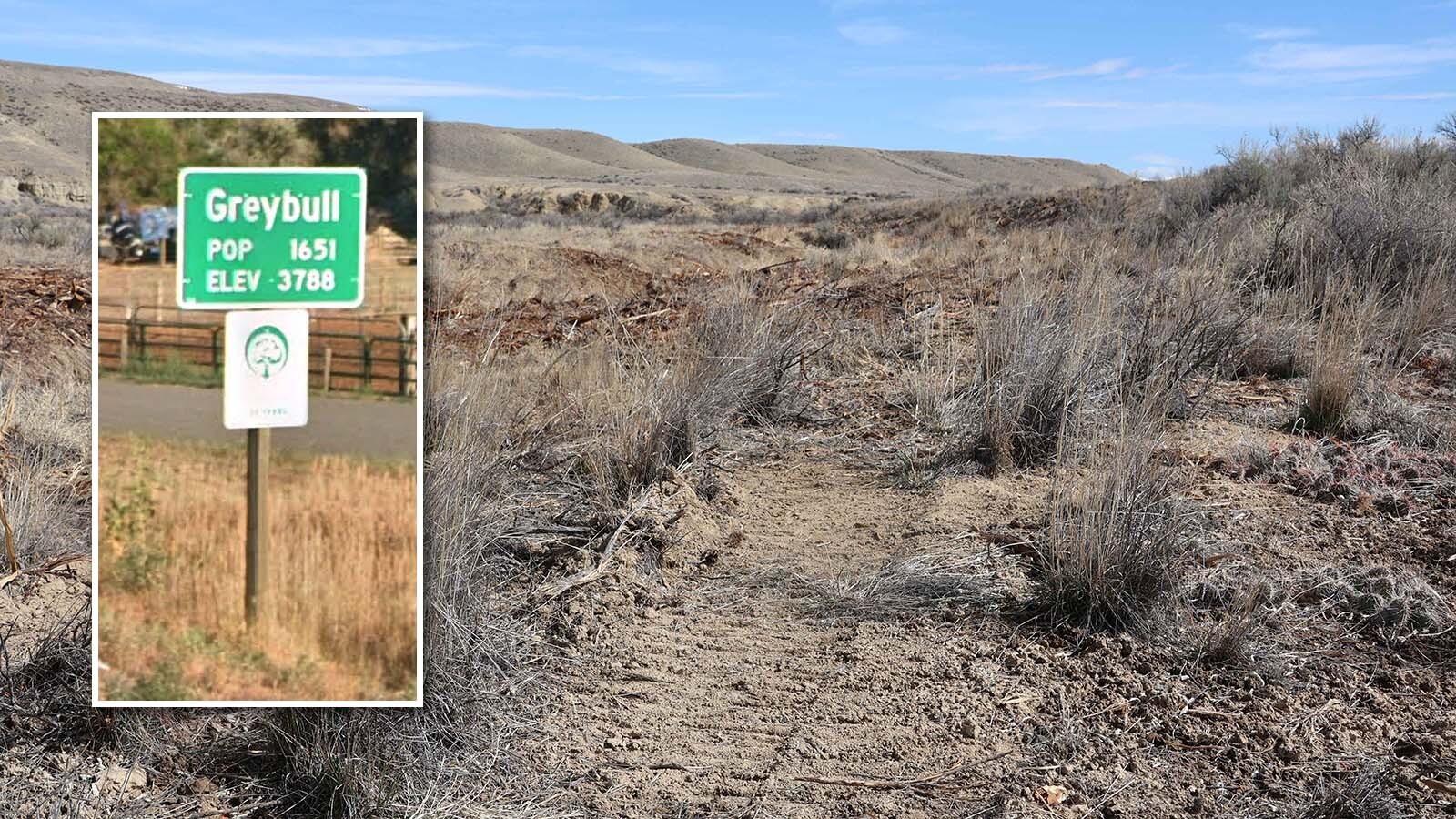 The Dry Creek area near Greybull is bare, after stands of Russian olive were cut down recently.