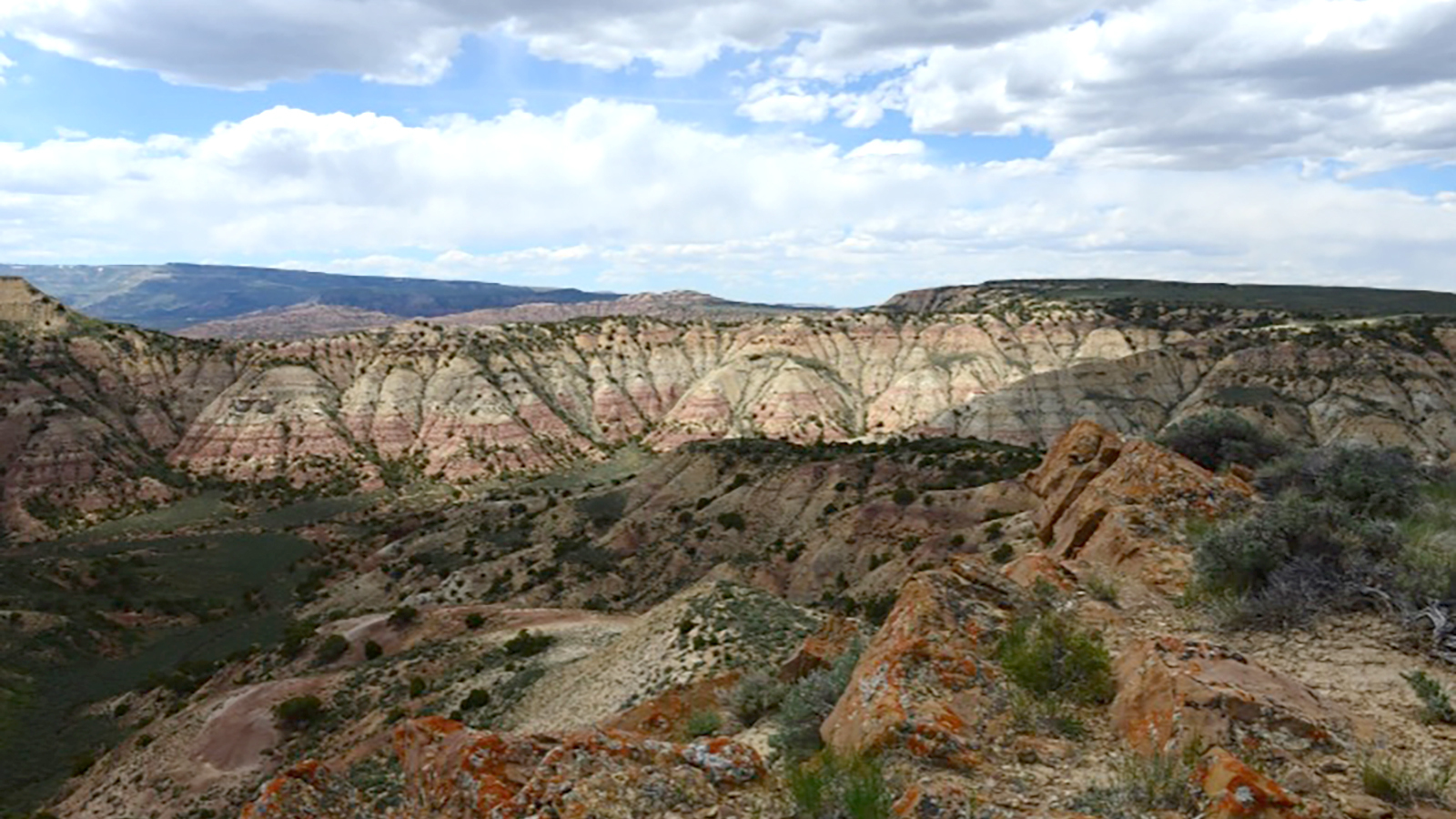 Wyoming Blasts BLM Over Plan To Limit Uses For Cowboy State Daily   BLM Plan Landscape 8.17.23 