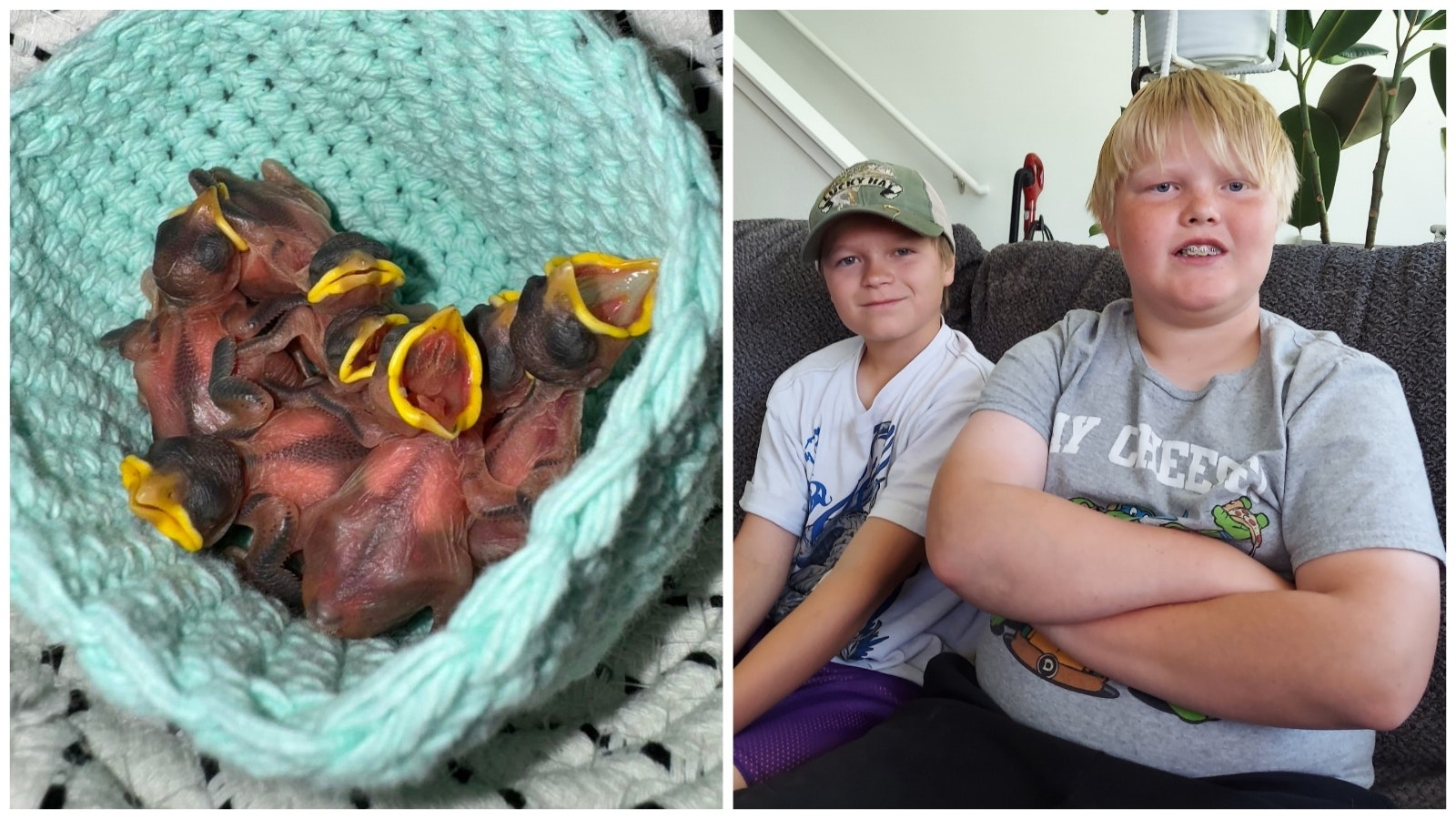 Gillette teens Jackson Harris and Kegan Bare, right, rescued this nest full of baby birds at the Fishing Lake last weekend.