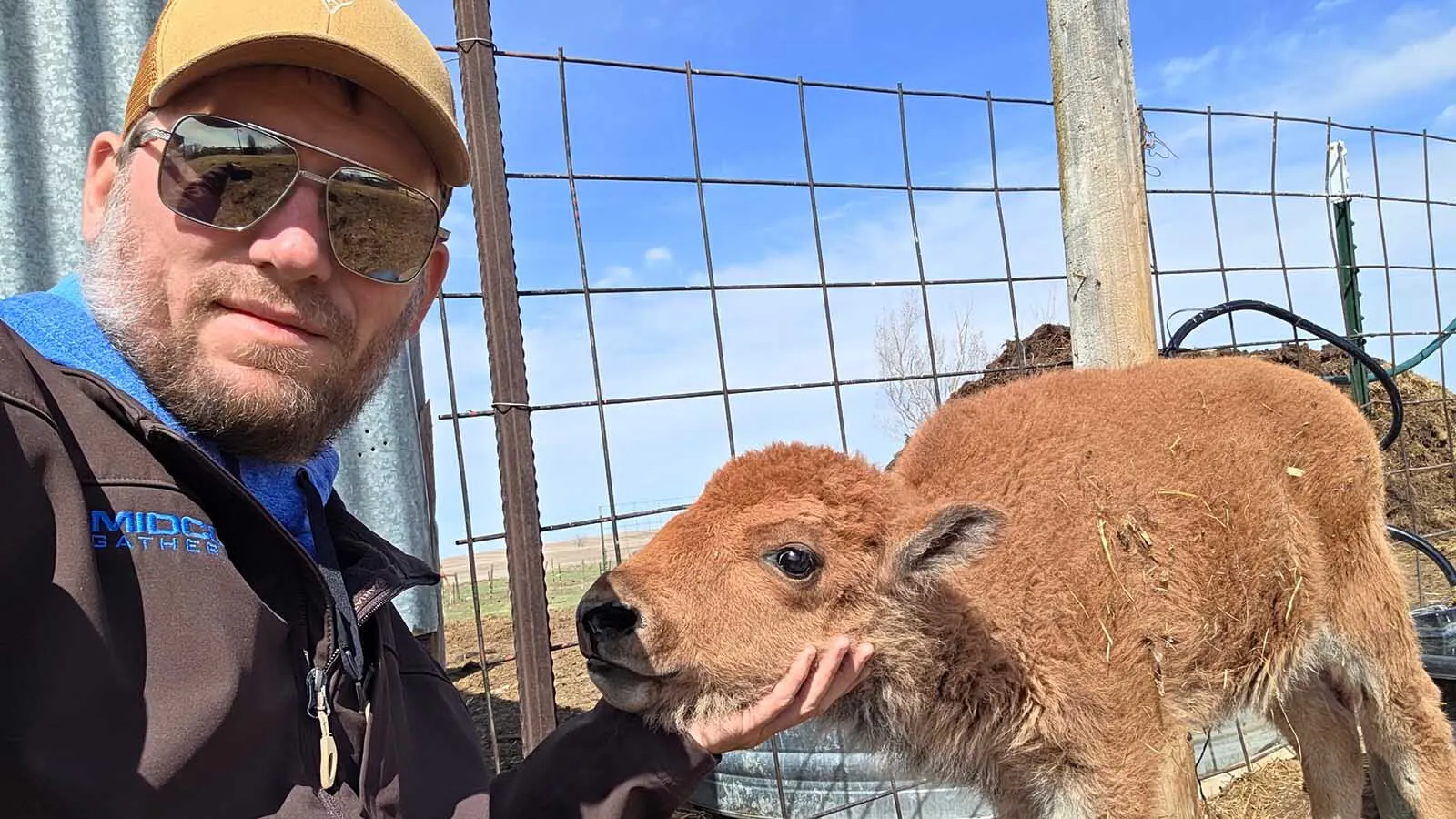 John and Makayla Otto are bottle-feeding a belligerent baby bison named Georgie on their ranch near Plaza, North Dakota. “I’ve had my ass handed to me about four different times now,” John says — and millions of people love watching the little guy bully him.