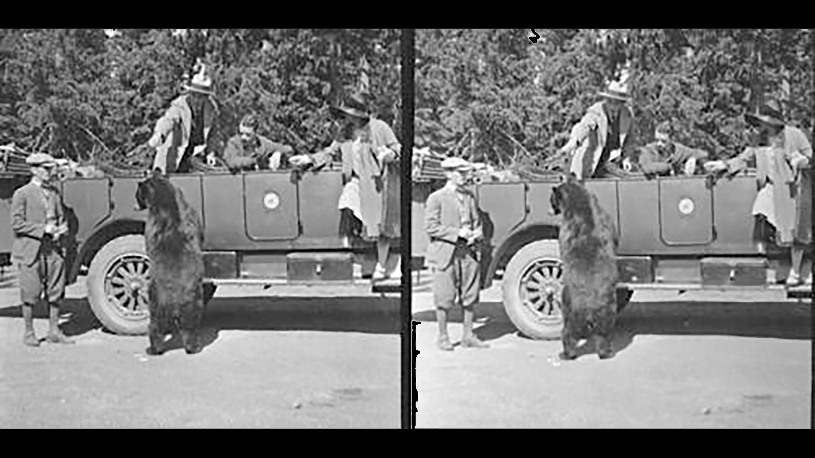 President Calvin Coolidge feeds a bear known as Jesse James in 1927.