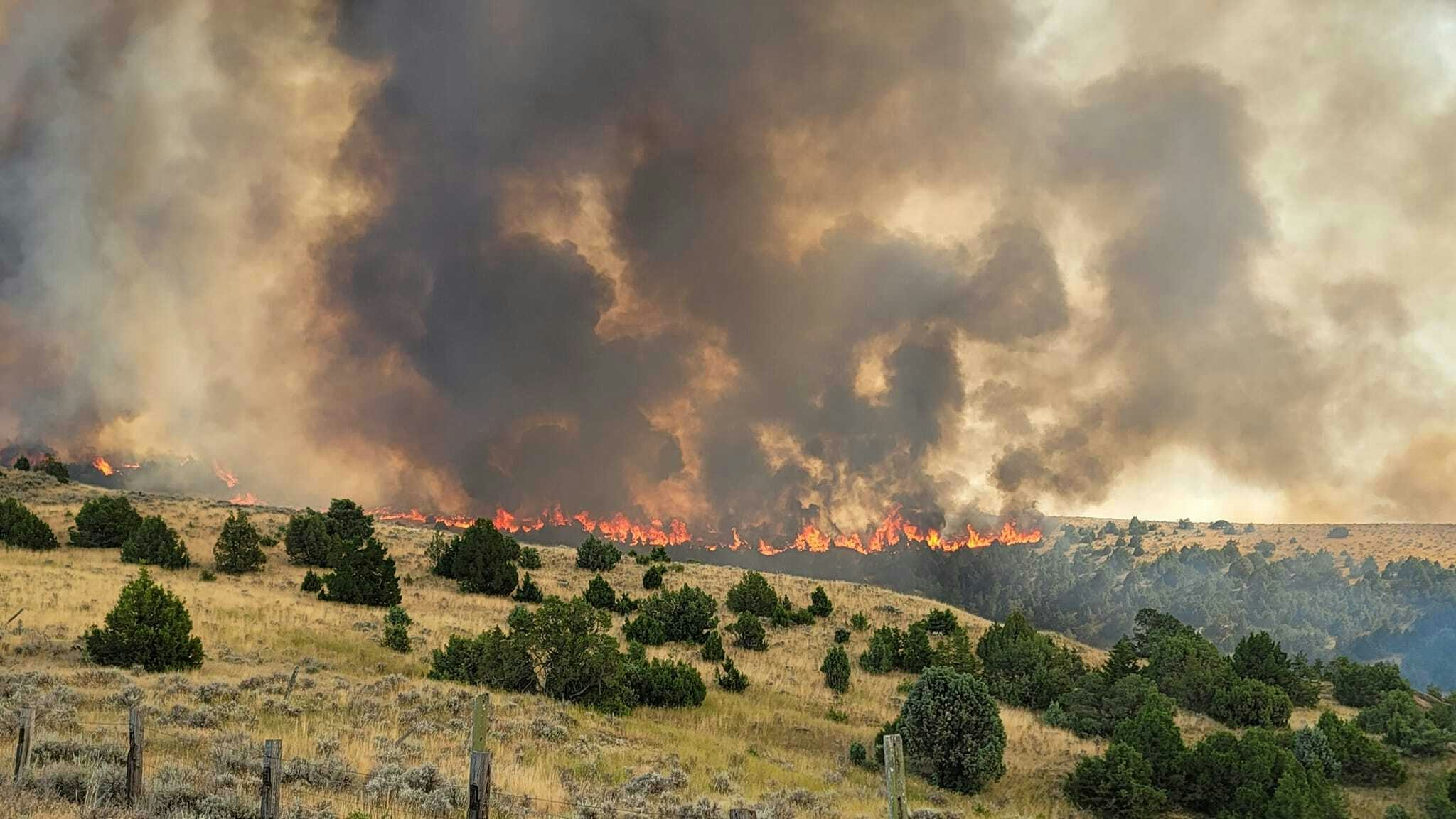 The Badger fire in northern Wyoming near the Montana border has burned more than 8,000 acres and is 100% contained.