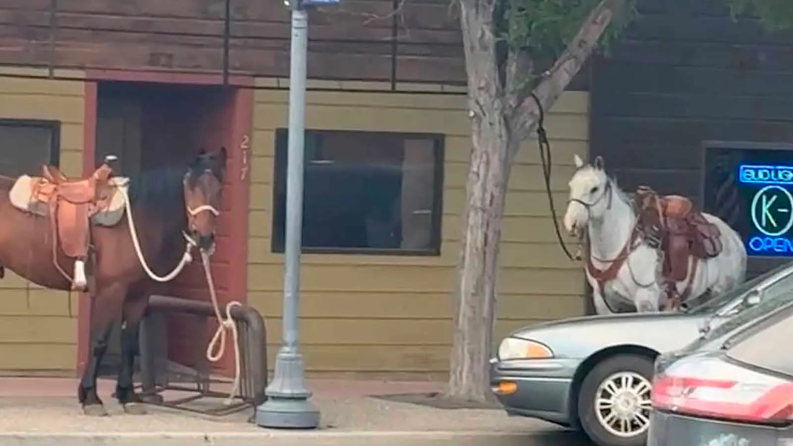 Two cowboys tying their horses outside a Powell bar and going in for a beet caused people to appreciate a Western vibe that “definitely feels right.” The horses also love it, said one rider, adding that “they like to get out and do dumb stuff, too.”