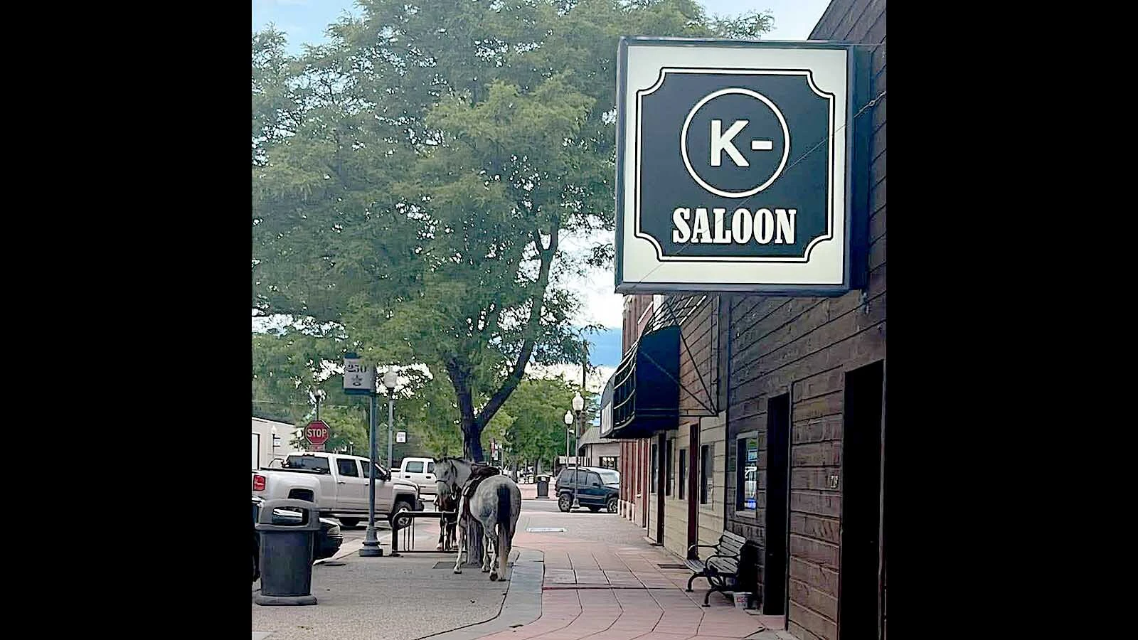 Two cowboys tying their horses outside a Powell bar and going in for a beet caused people to appreciate a Western vibe that “definitely feels right.” The horses also love it, said one rider, adding that “they like to get out and do dumb stuff, too.”