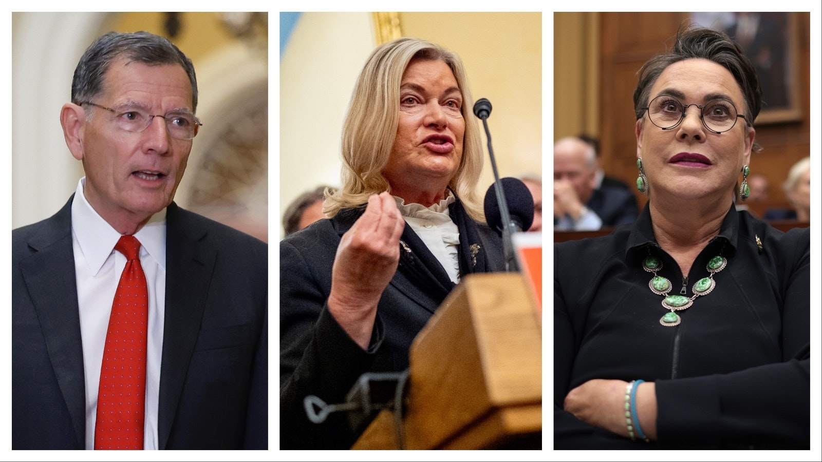 Wyoming Republican U.S. Sens. John Barrasso and Cynthia Lummis, and U.S Rep. Harriet Hageman.