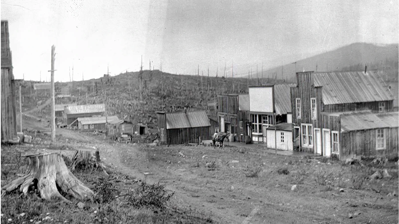 By 1905, the town of Battle in the Sierra Madres of Wyoming had been mostly abandoned and the buildings left behind by the 1910s. Once a lively town, Battle boasted five saloons, numerous houses of ill repute, several retail stores, two hotels, a post office, newspaper and school.