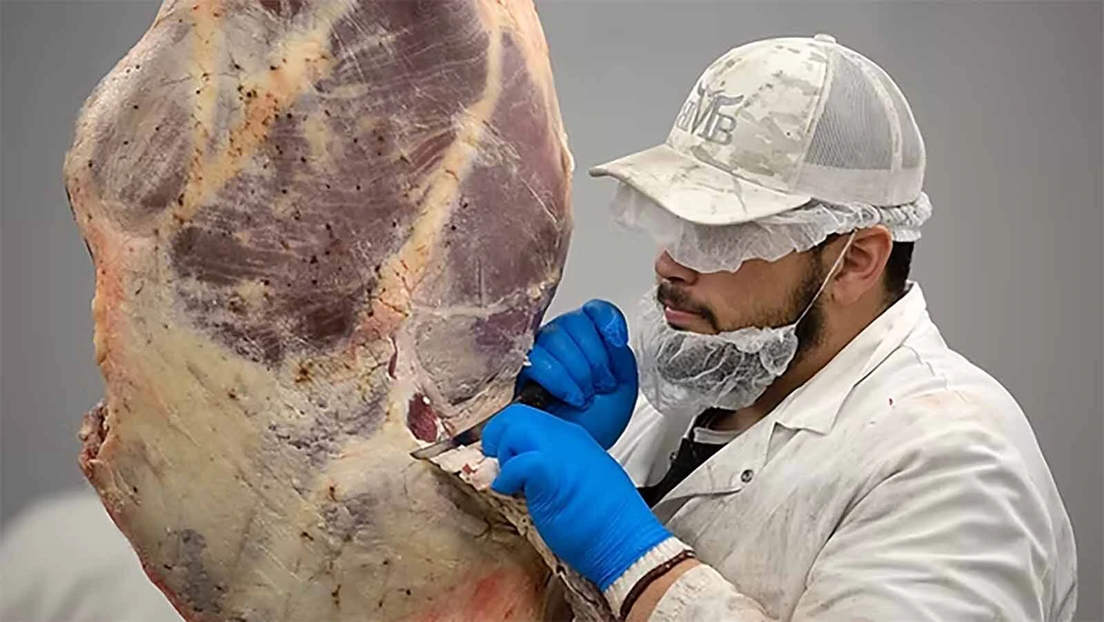 Processing a hanging carcass at Bear Mountain Beef in Hawk Springs.
