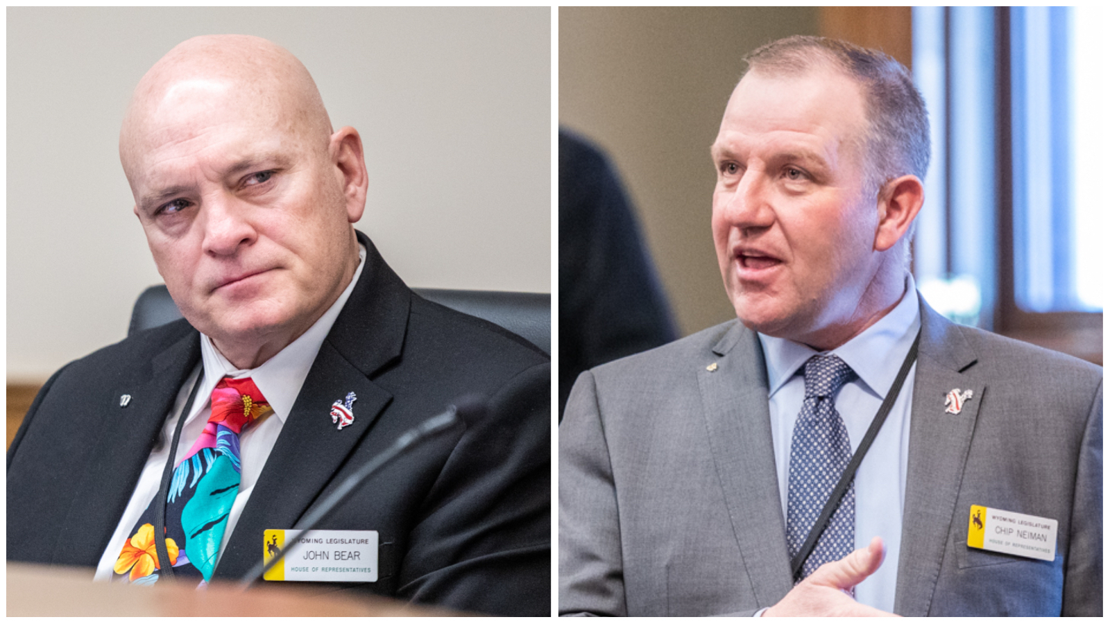 Bear and Neiman 1 5 23