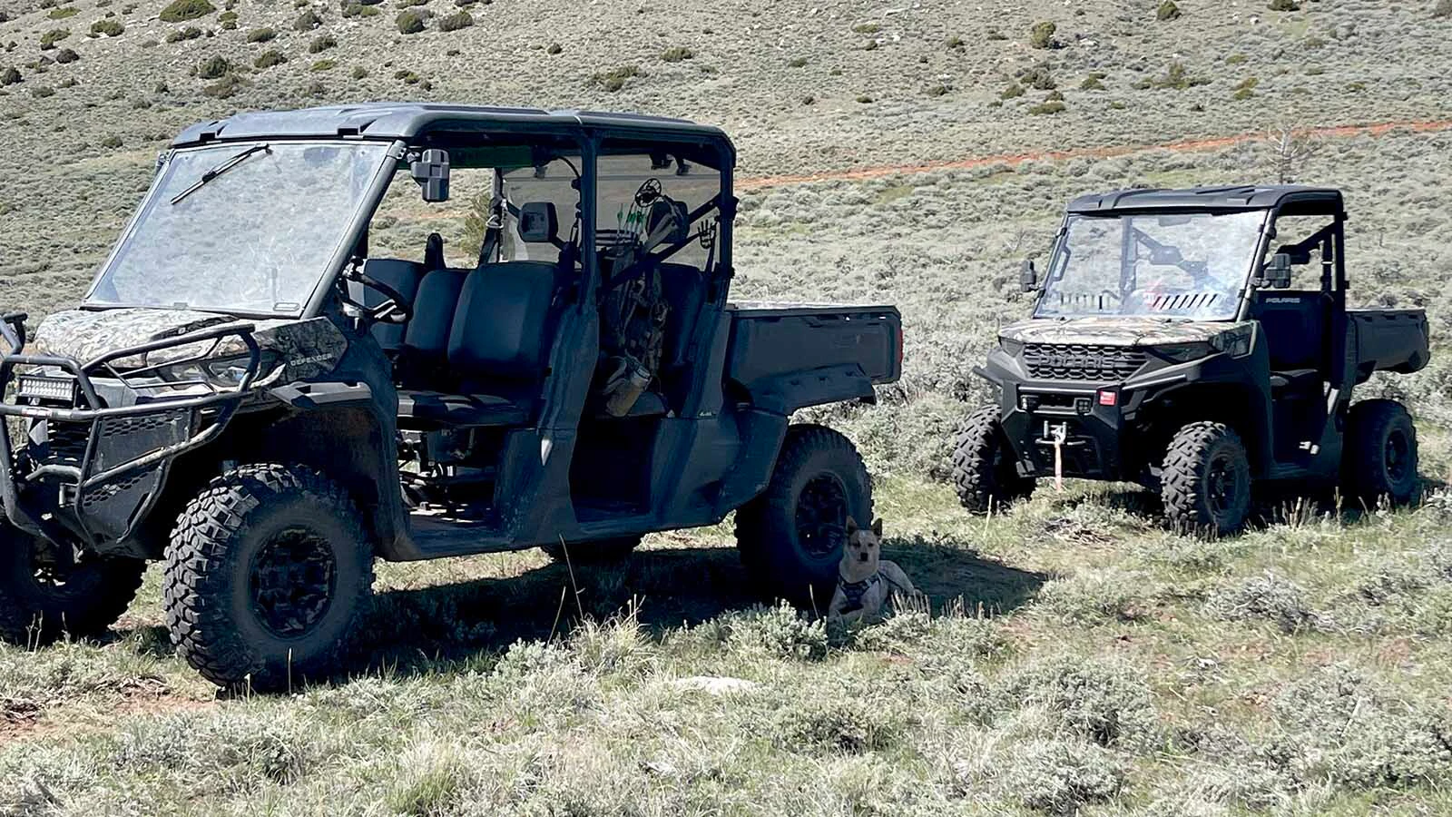 Bear hunter Donny Paul said other hunters drove ATVs onto a site where he’d set up his bear bait, and shoot a bear.