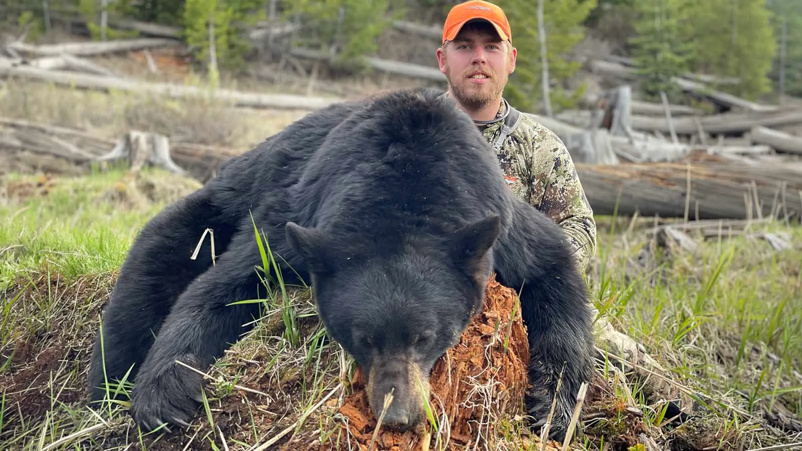 Wyoming Hunter Mad After Putting Out Bait, Then Another Uses It To Shoot A BearMark HeinzMay 15, 2026