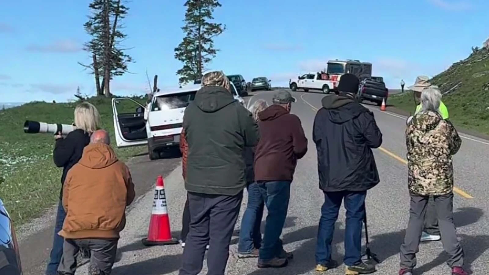 A crowd gathered near Yellowstone Lake to watch a grizzly eating an elk calf.