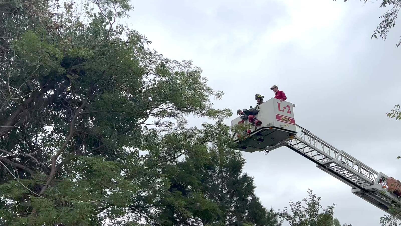 A cherry picker was used to try and get a bear out of a tree at Cheyenne's Clear Creek Park on Sunday.