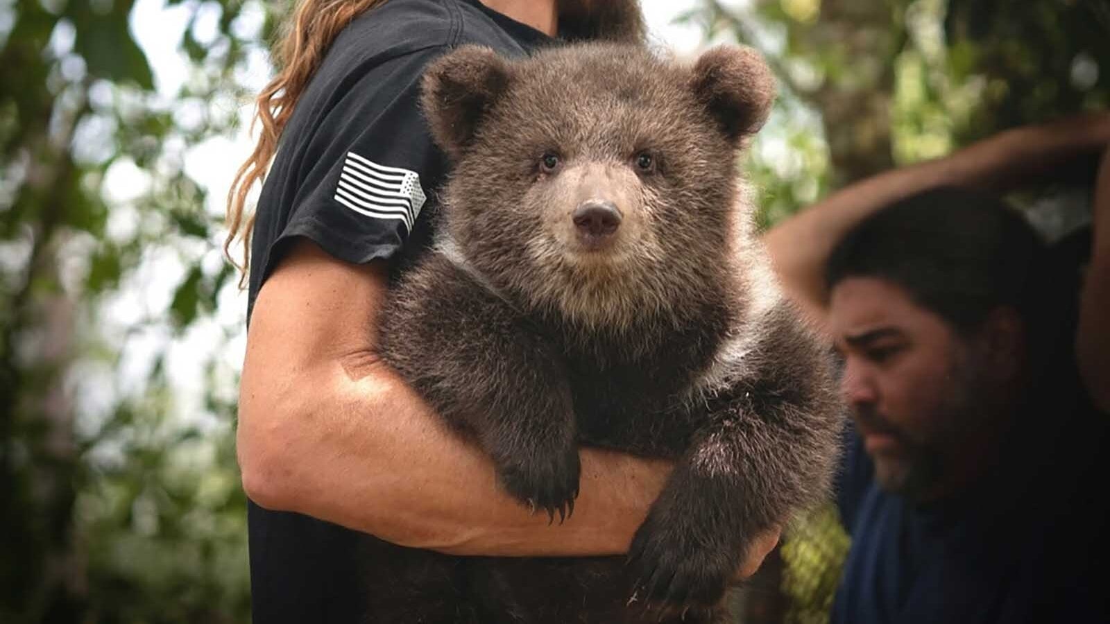 Isaac Rempe holds a cub named Charmin at the Grizzly Ranch Bear Rescue in Alabama.