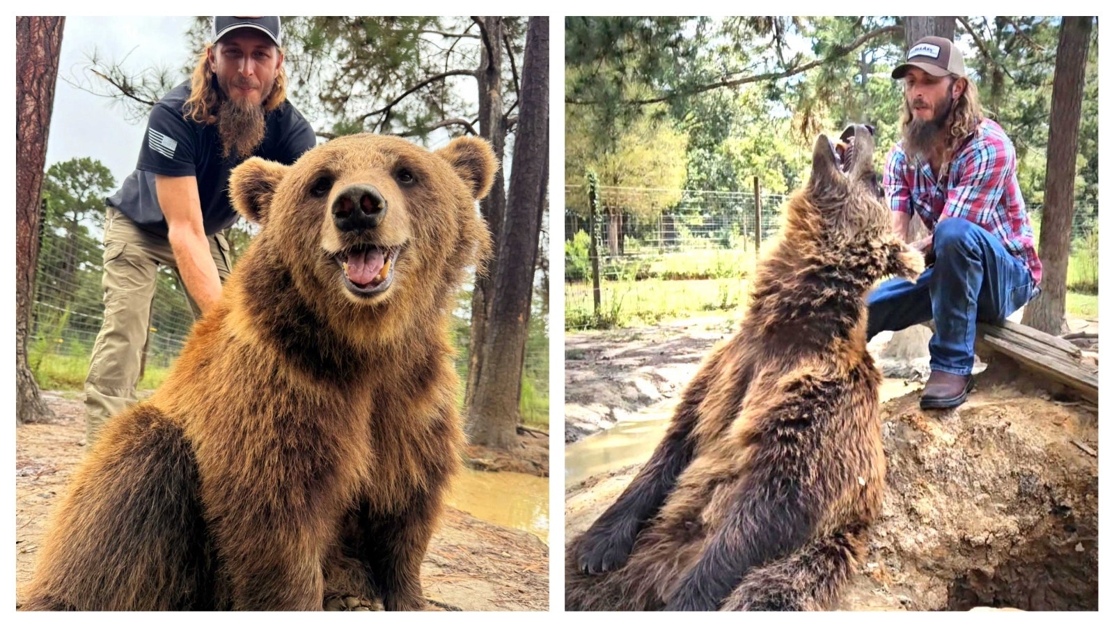 Left, Isaac Rempe is pictured here with a bear named Izzy at the Grizzly Ranch Bear Rescue in Alabama. Right, he gives attention to Charmin.