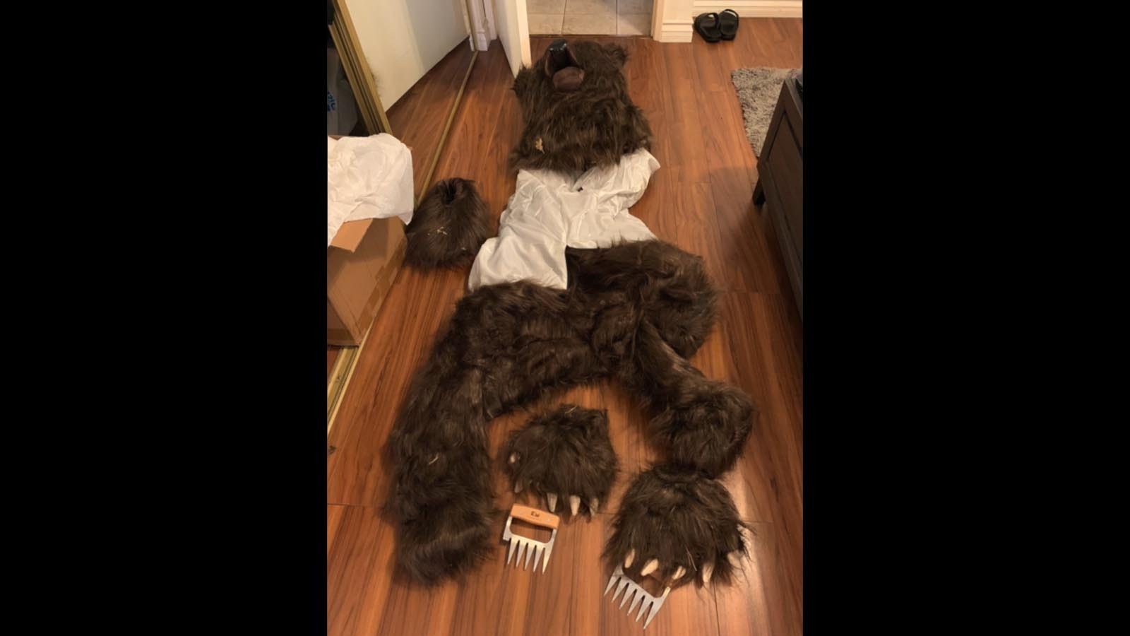 Tearing up a Rolls Royce and other luxury cars in a cheap bear suit in an attempt to scam a California insurance company was “really stupid,” industry and wildlife experts say. Four suspects were arrested Wednesday in the ill-conceived scheme.