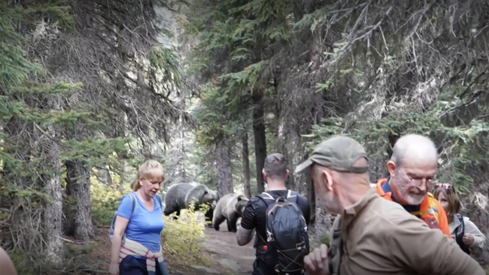 Bears follow hikers 10 23 23