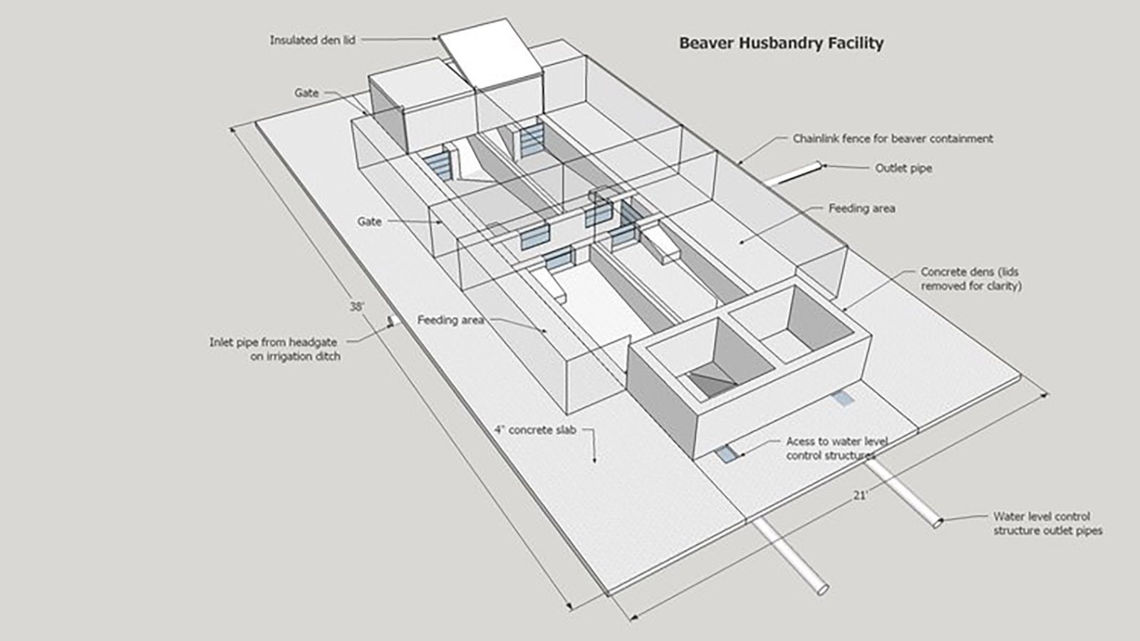 A schematic drawing of a beaver husbandry facility under construction in Cody.