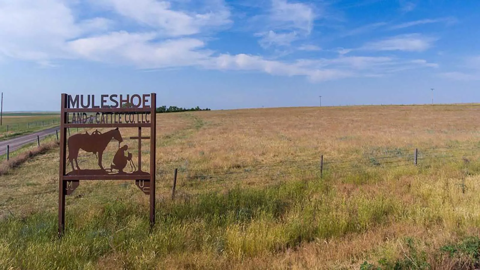 Record Beef Prices Has Aging Ranchers Selling Off Herds And Cashing Out ...